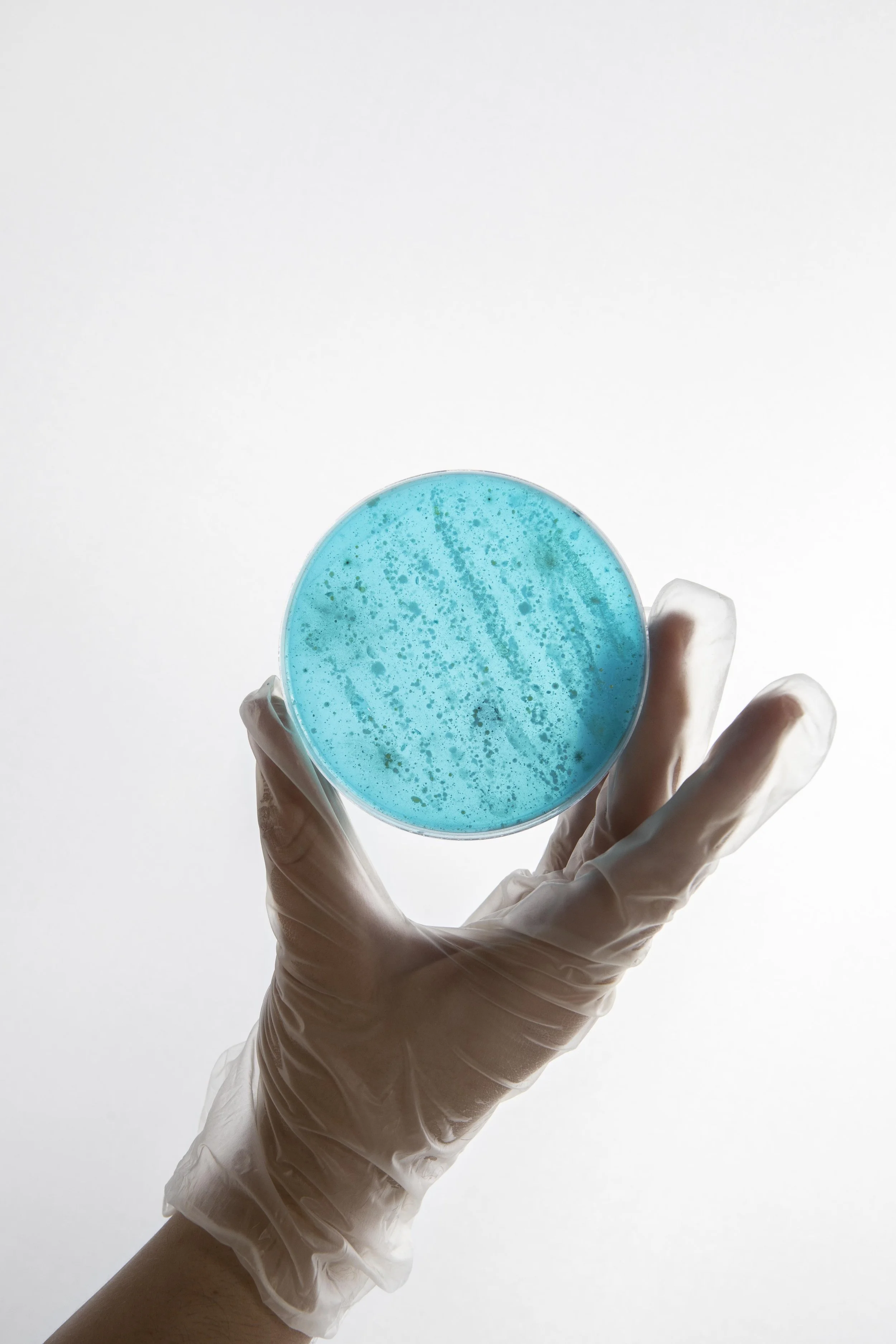 Gut bacteria test. Image from FreePik