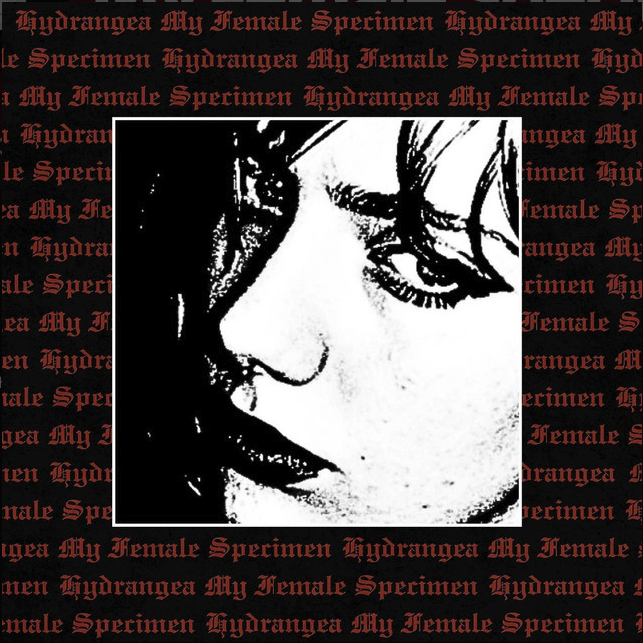 ALBUM ★ Hydrangea - My Female Specimen ★ Master 