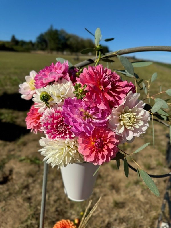 Joyful_Ridge_Flower_Farm-20.jpeg