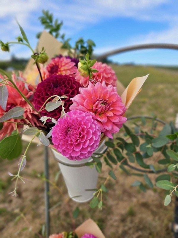 Joyful_Ridge_Flower_Farm-4.jpeg