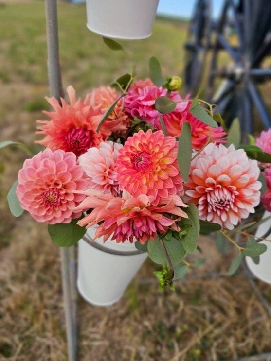 Joyful_Ridge_Flower_Farm-2.jpg