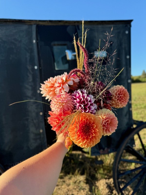 A hand holding a colorful bouquet of dahlias and ornamental grasses in front of a rustic black wagon.