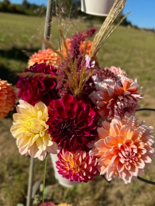 Joyful_Ridge_Flower_Farm-19.jpg