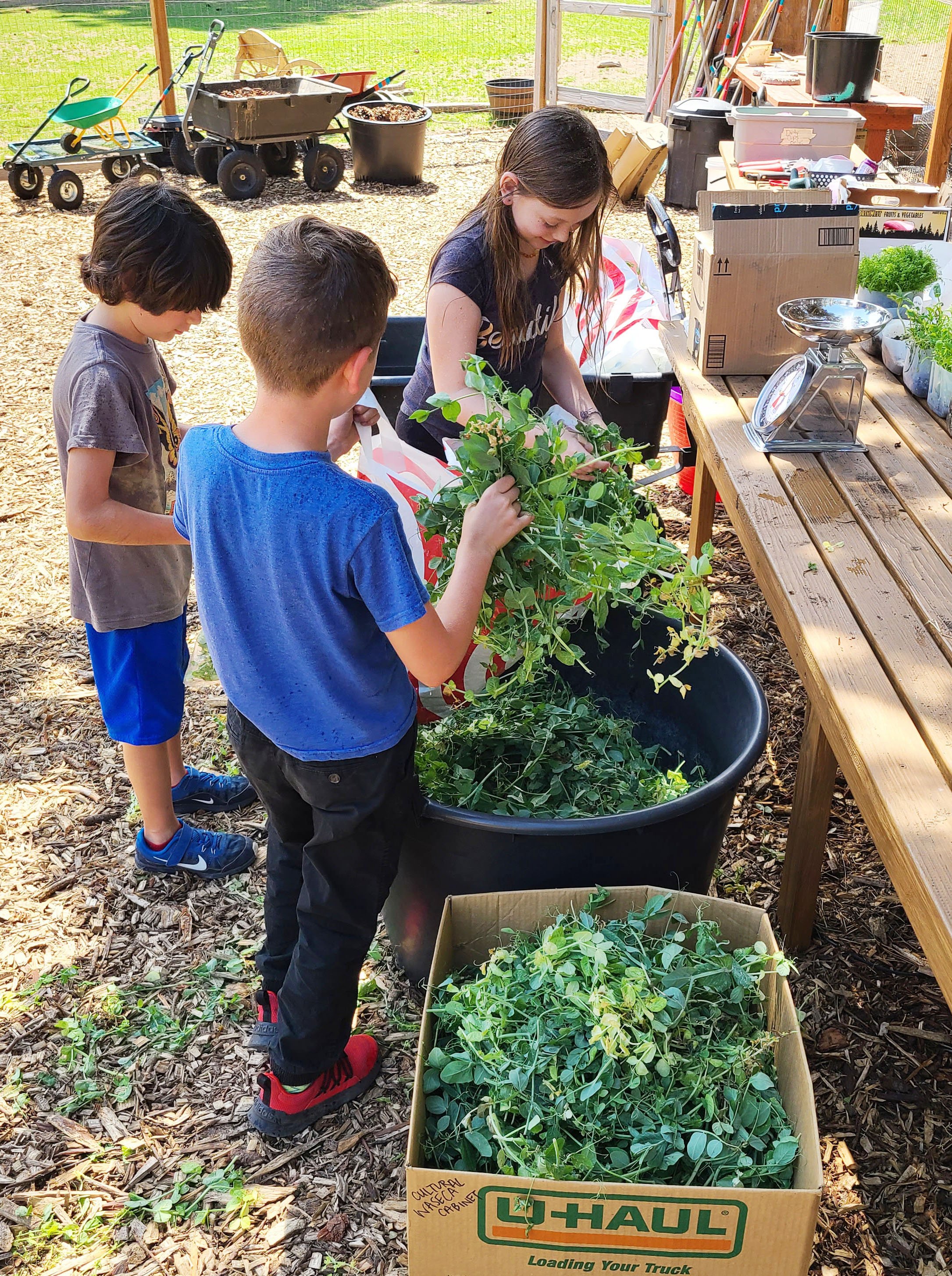 edible-garden-08.jpg