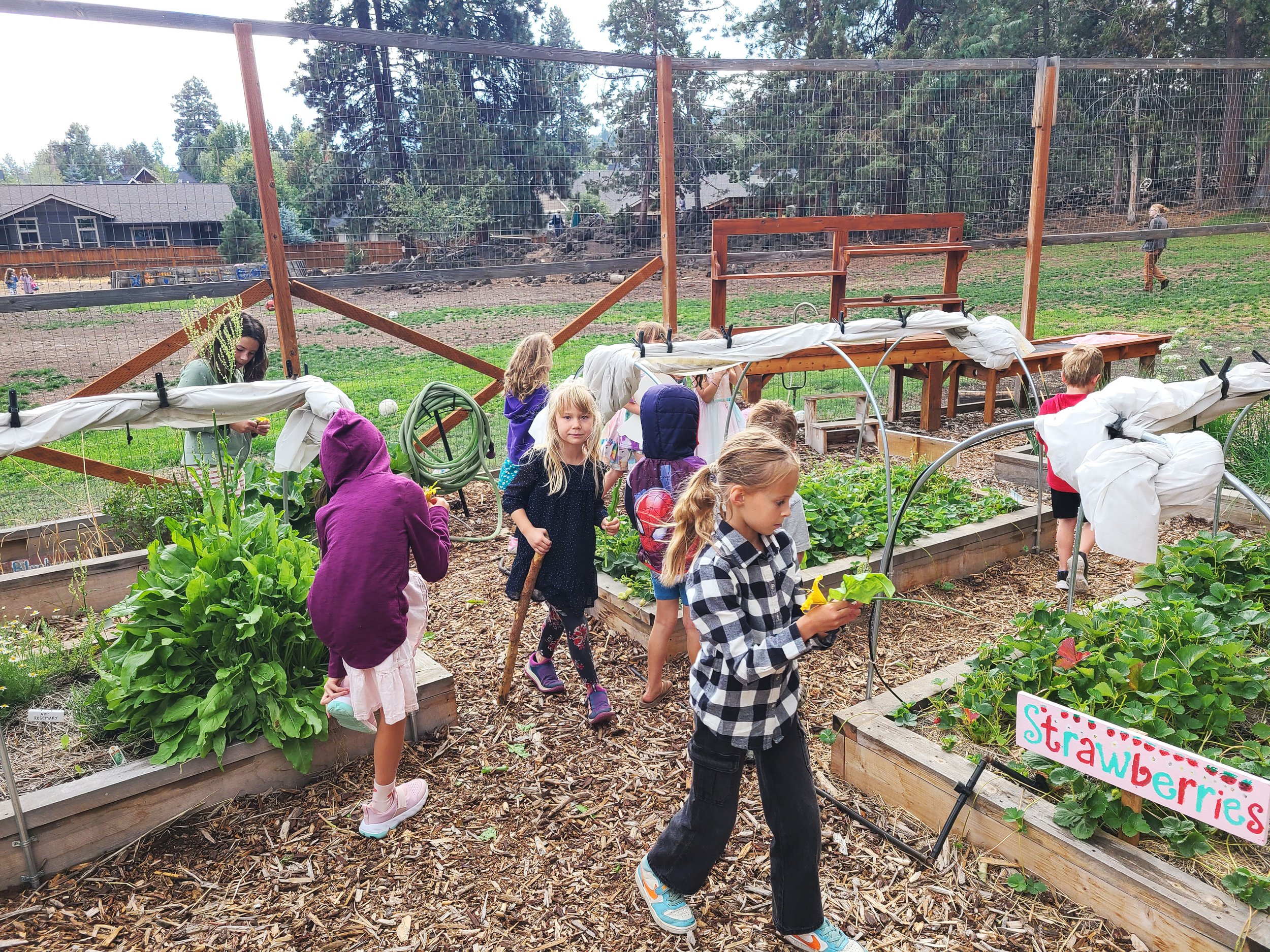 edible-garden-07.jpg