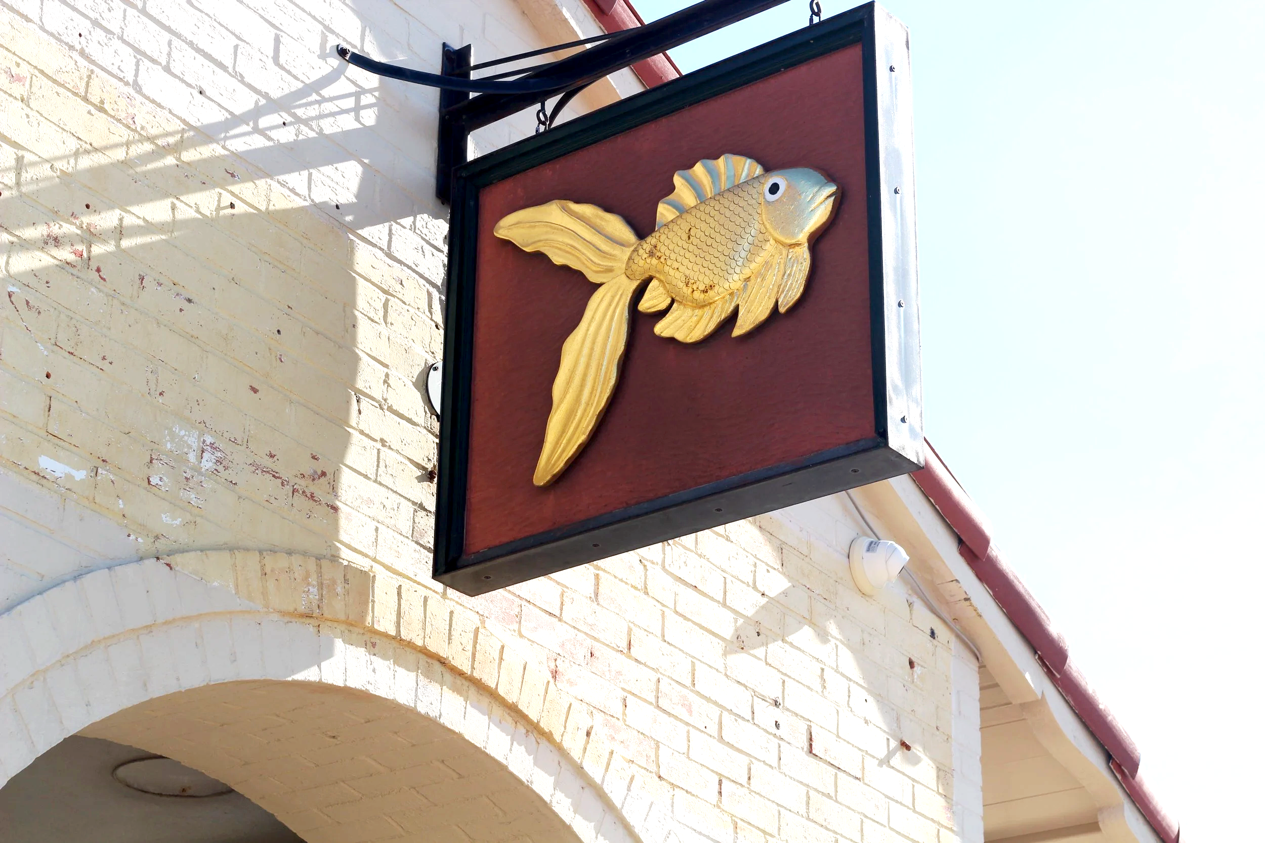 The Gold Fish
