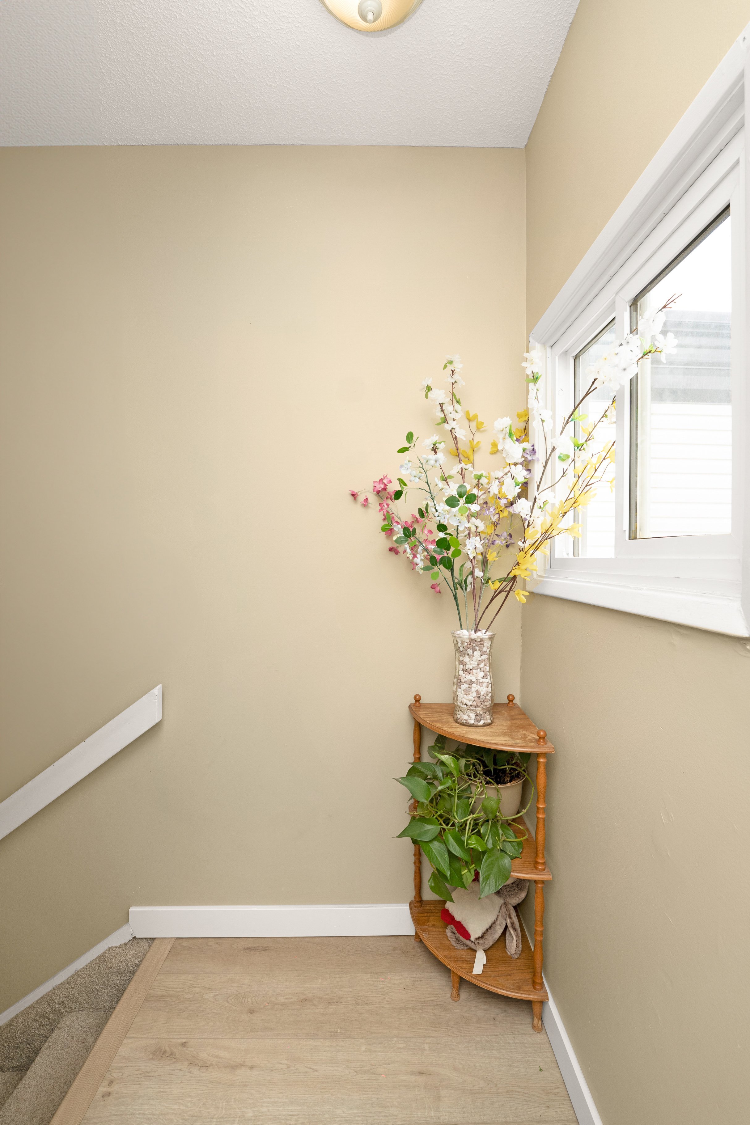 Simple hallway with a potted plant and neutral decor.