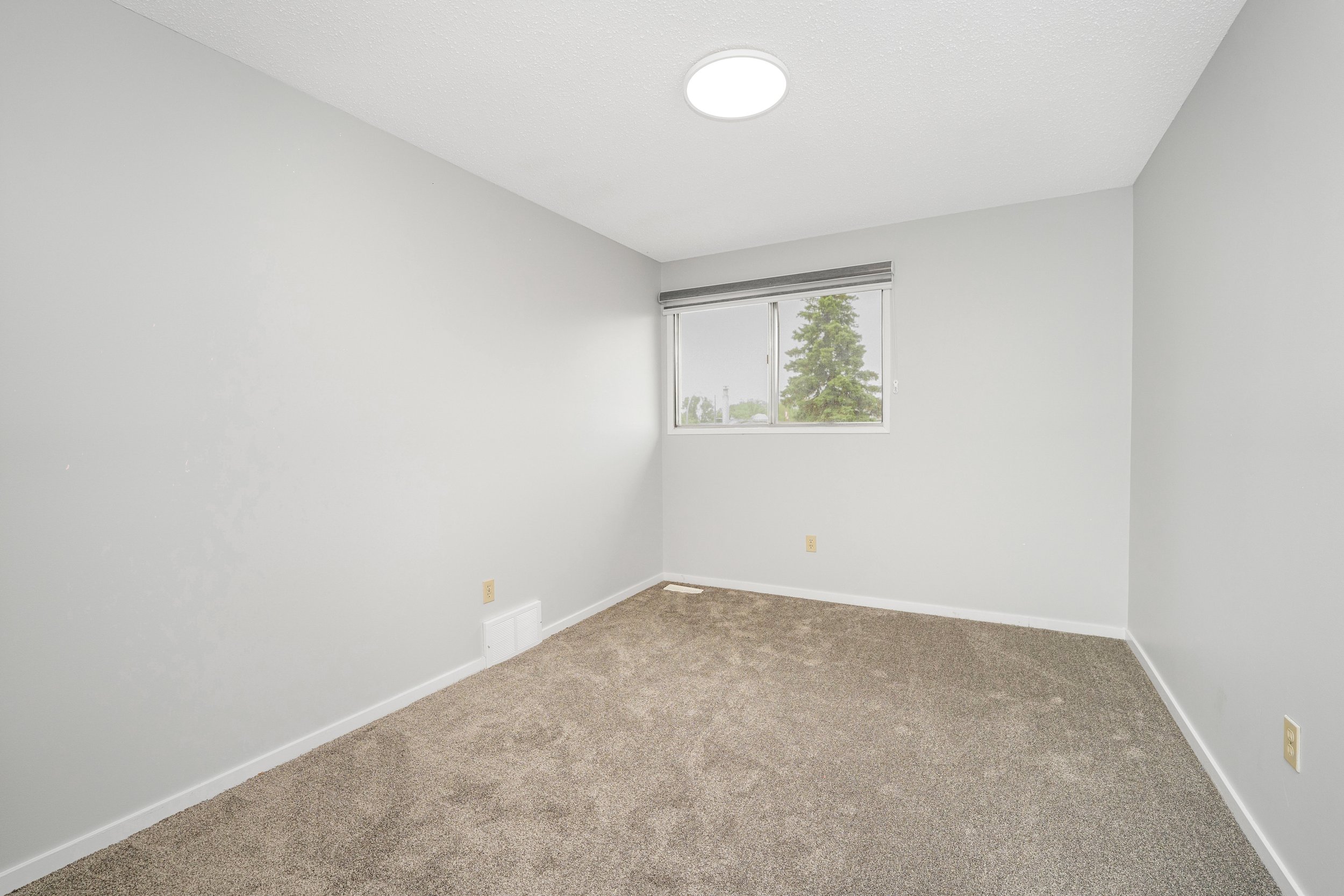 Empty room with light gray walls, beige carpet, a window with a view of trees, a ceiling light, and electrical outlets.