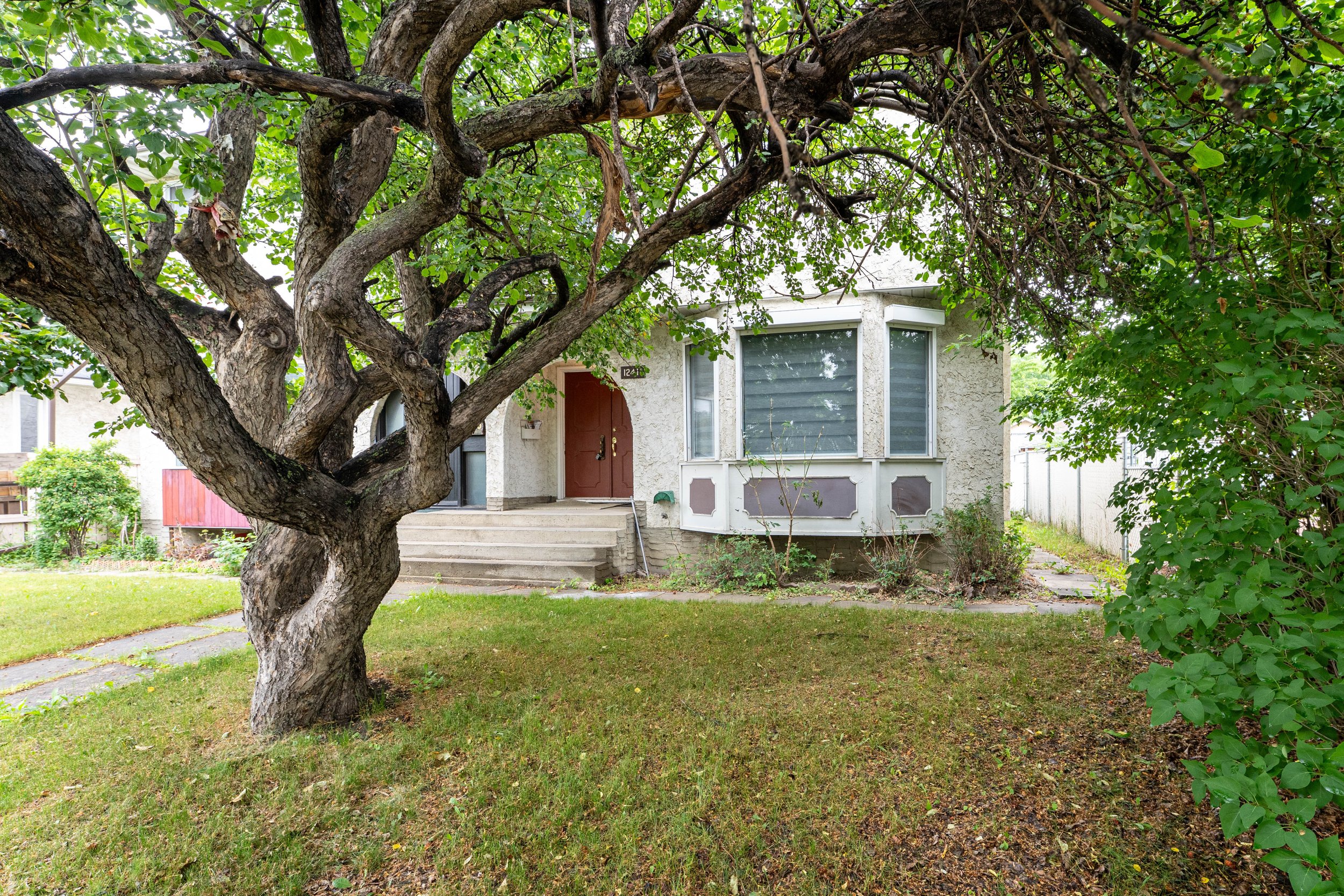 Front yard view of a house with a large tree partially covering the facade, including a bay window and a brown front door, with steps leading up to the entrance and a grassy lawn in the foreground.