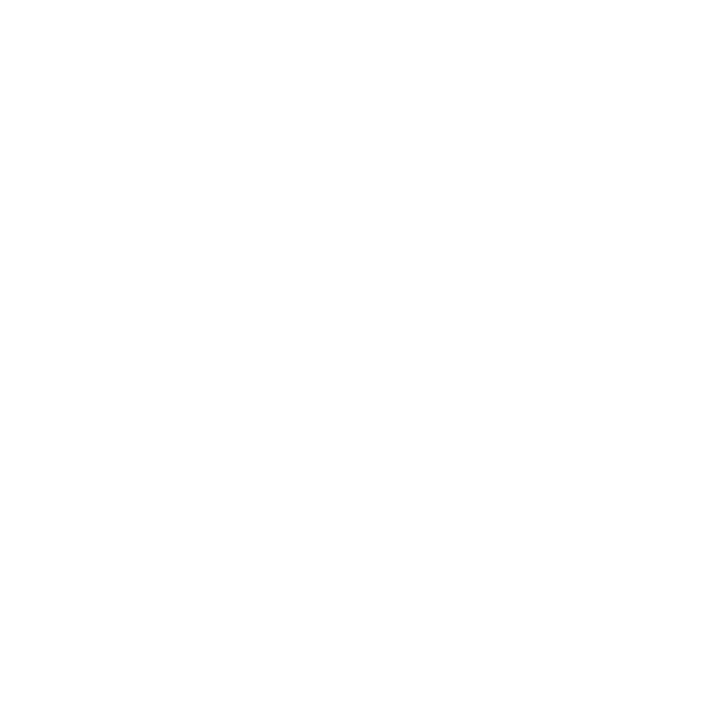 Window icon