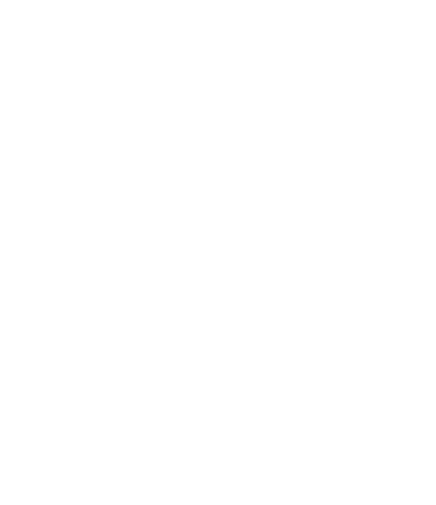 VP