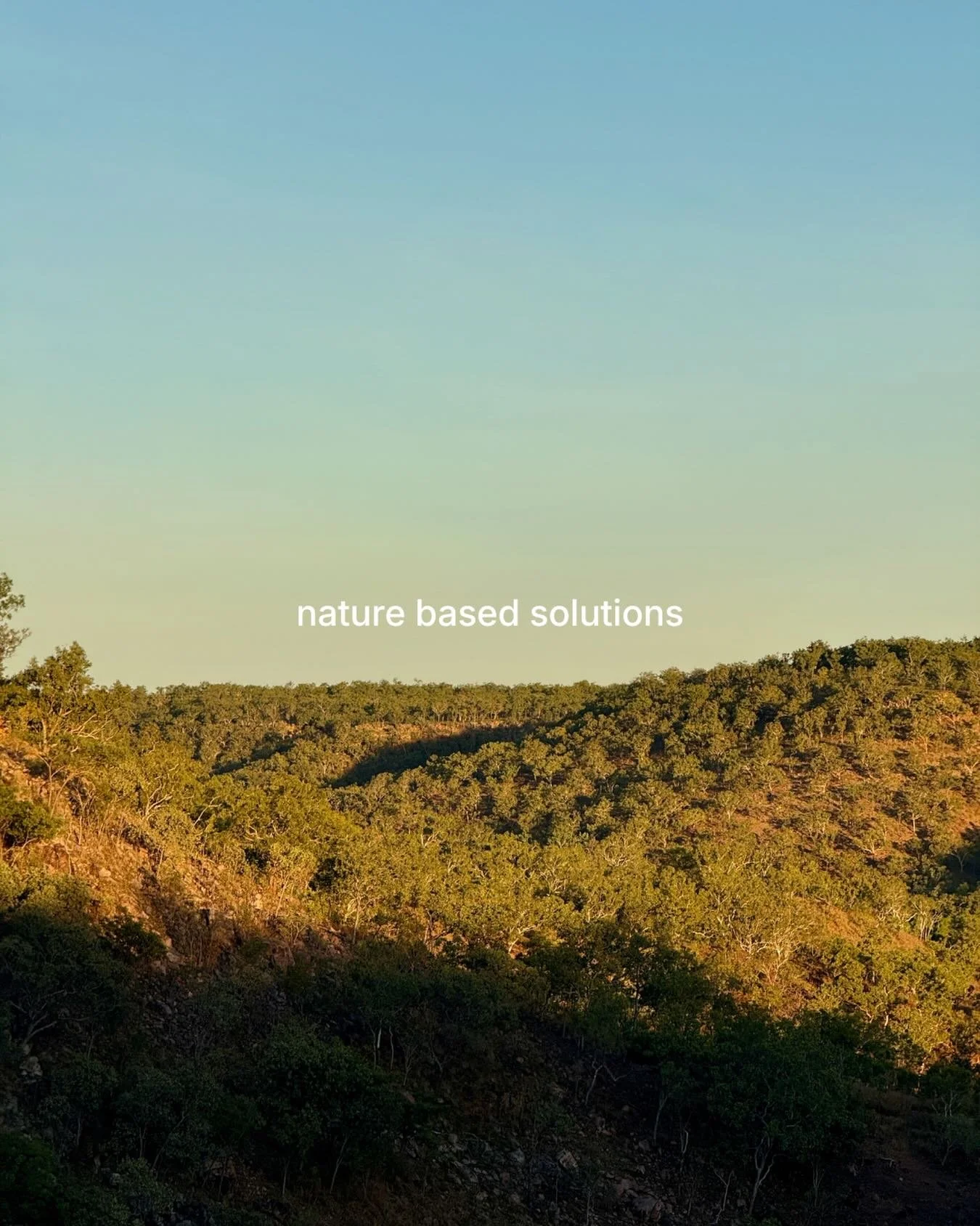 We always aim to find solutions for problems that work with the environment, from soil remediation to bushfire management.

If you&rsquo;re seeking nature based solutions for your problems send an email to hello@radicle.au