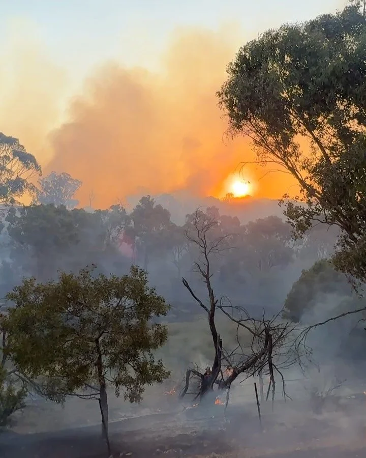 A particularly hectic start to the year for the folks of Central and North Eastern Victoria. It wasn&rsquo;t quite the relaxing summer sojourn for everyone and our thoughts go out to all who have been impacted by the fires.

The impact of this unrele