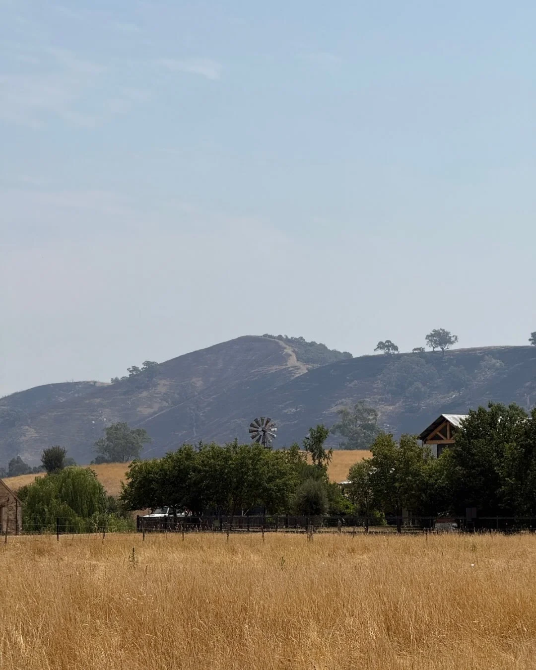 The recent fires in Victoria have made it abundantly clear how good land management is critical for fire preparedness. Maintaining moisture in the soils and vegetation is crucial for slowing rate of spread, reducing flame heights, and minimising impa