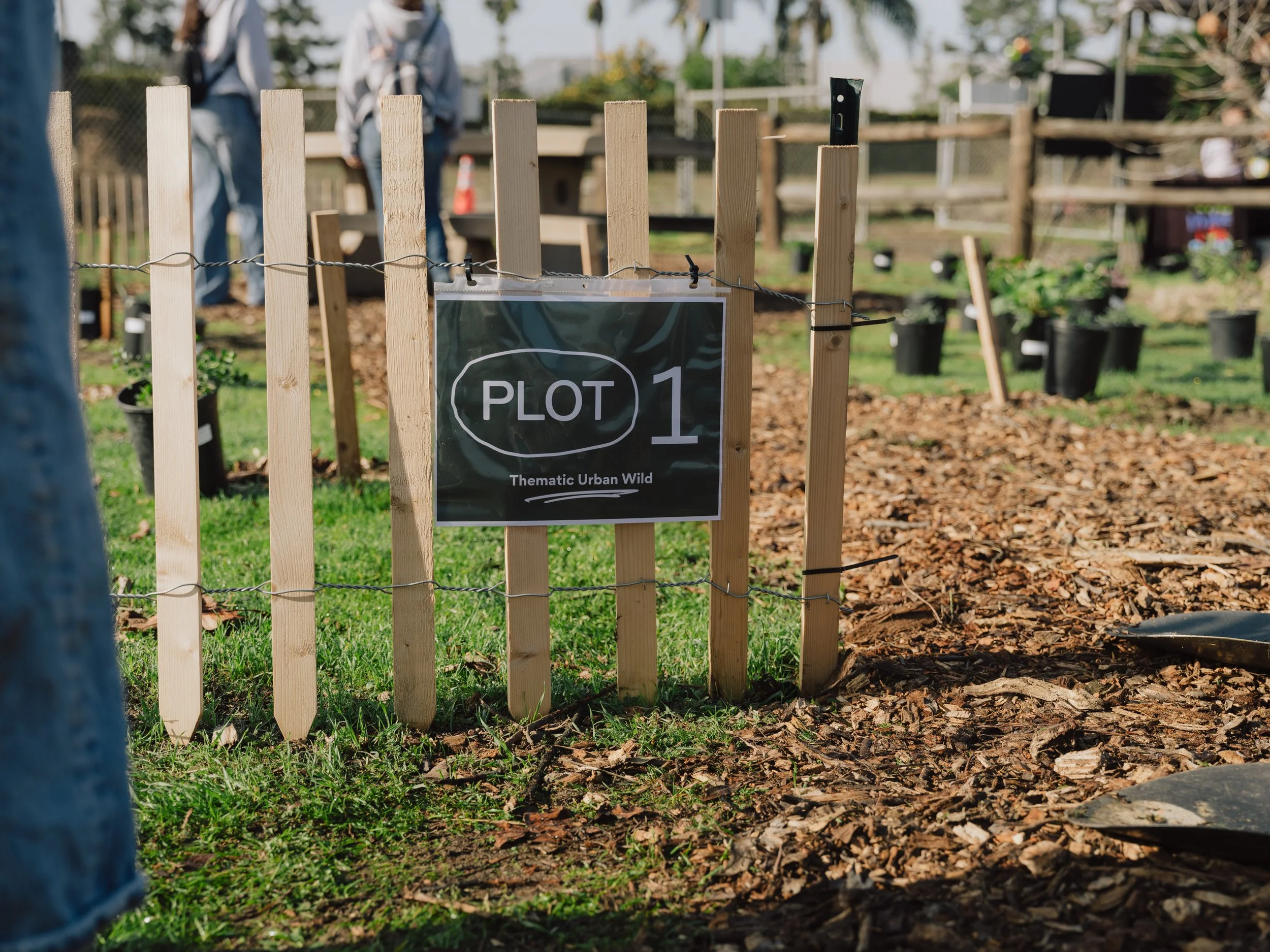 20250208_Planting-021.jpg
