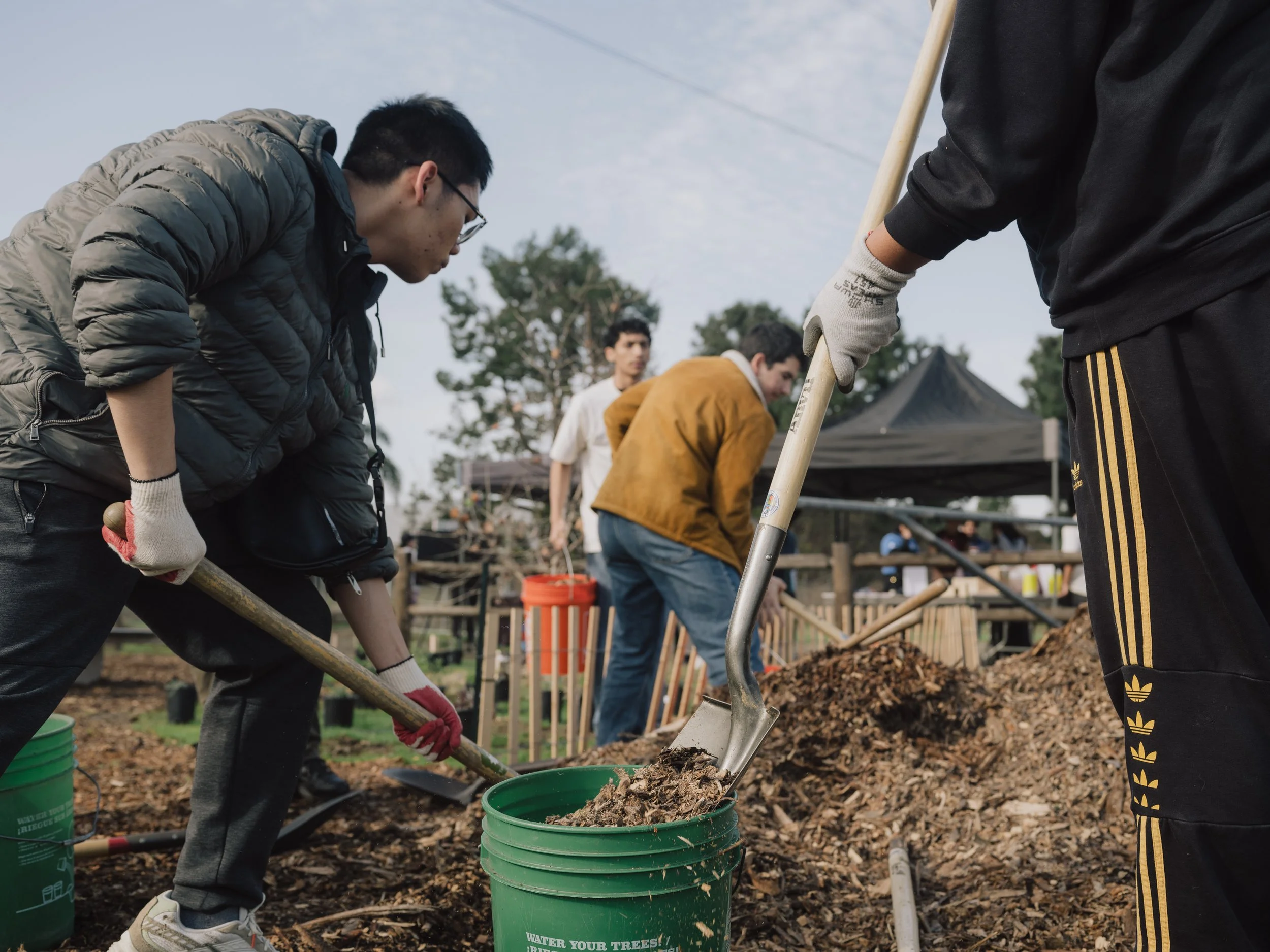 Community Planting Day