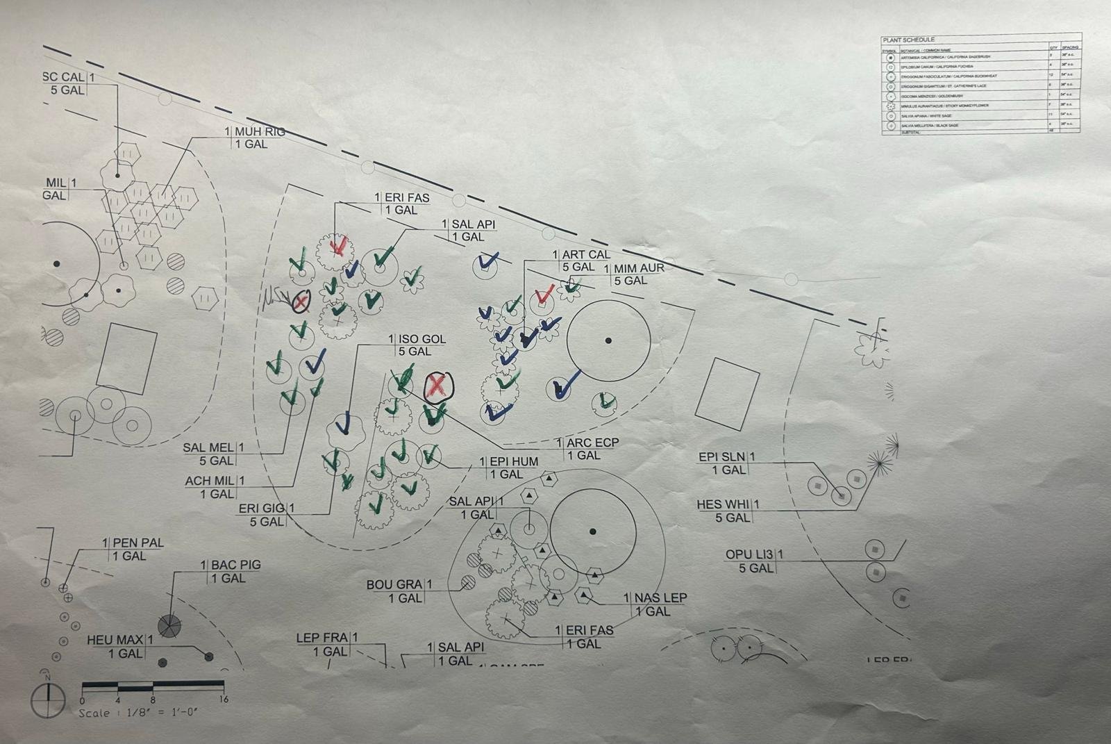 WhatsApp Image 2025-08-30 at 12.05.47 PM.jpeg