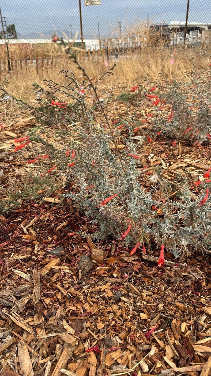 WhatsApp Image 2025-08-30 at 12.28.42 PM.jpeg