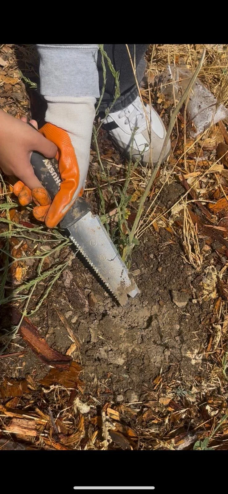 WhatsApp Image 2025-08-30 at 12.41.14 PM (4).jpeg