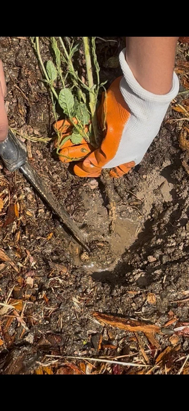 WhatsApp Image 2025-08-30 at 12.41.14 PM (2).jpeg