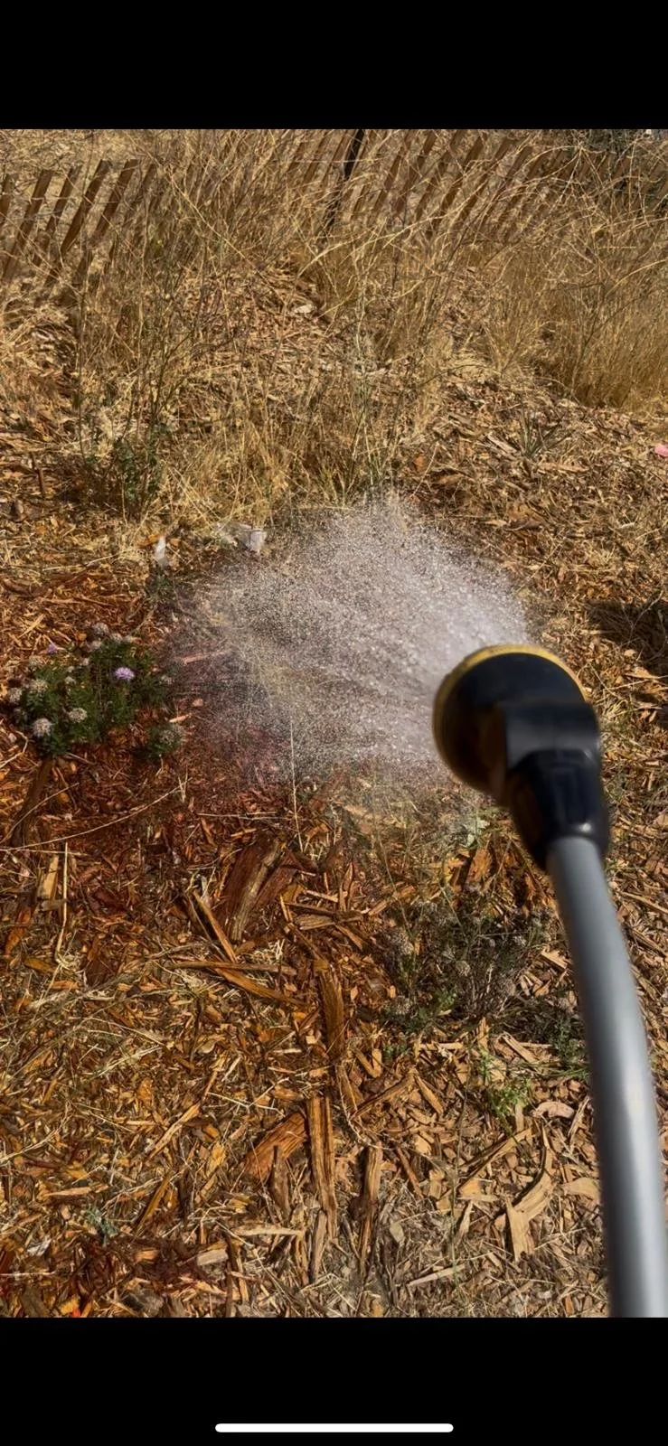 WhatsApp Image 2025-08-30 at 12.41.14 PM (1).jpeg