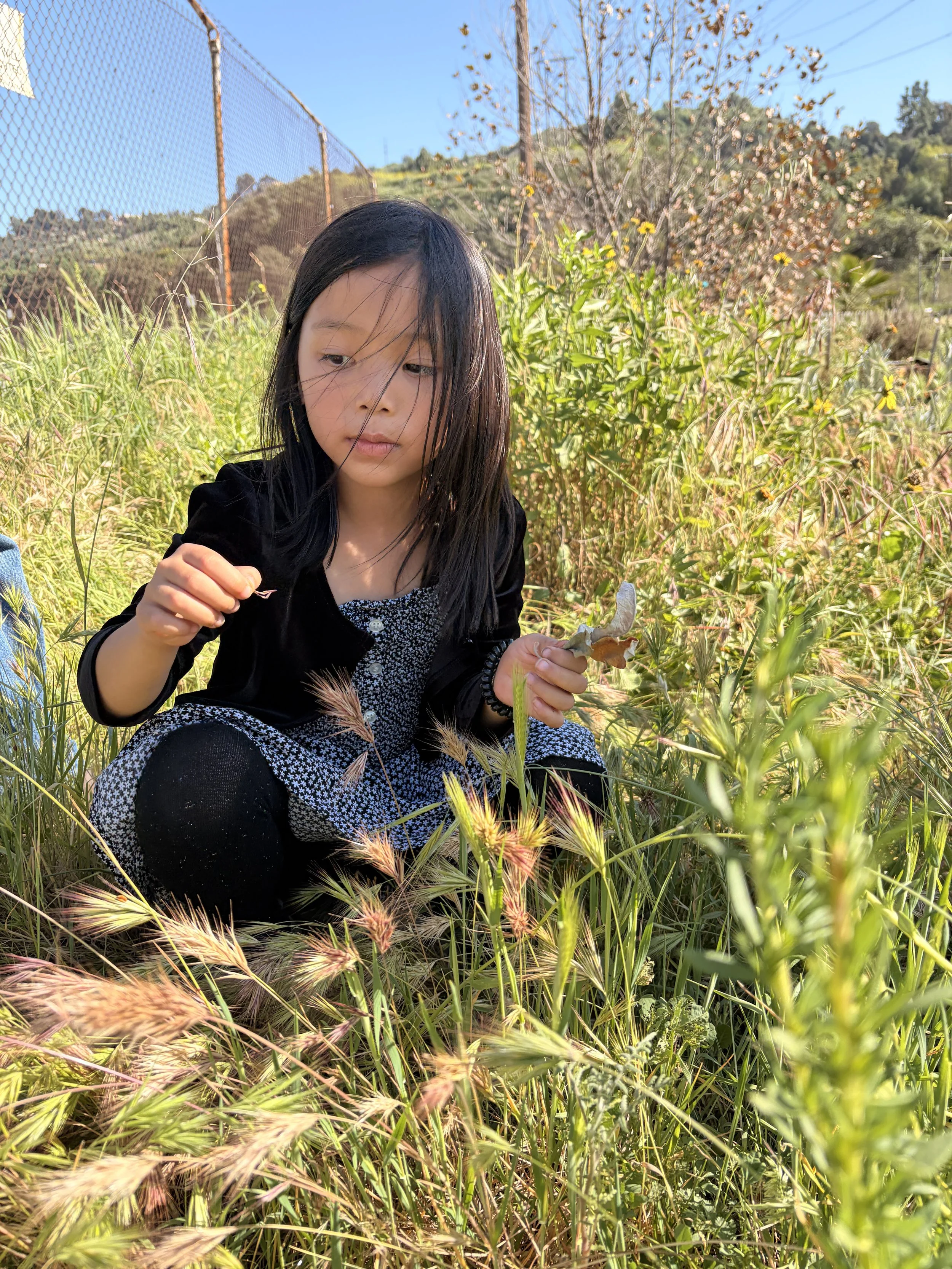 Cohort 8 : Weeding Day