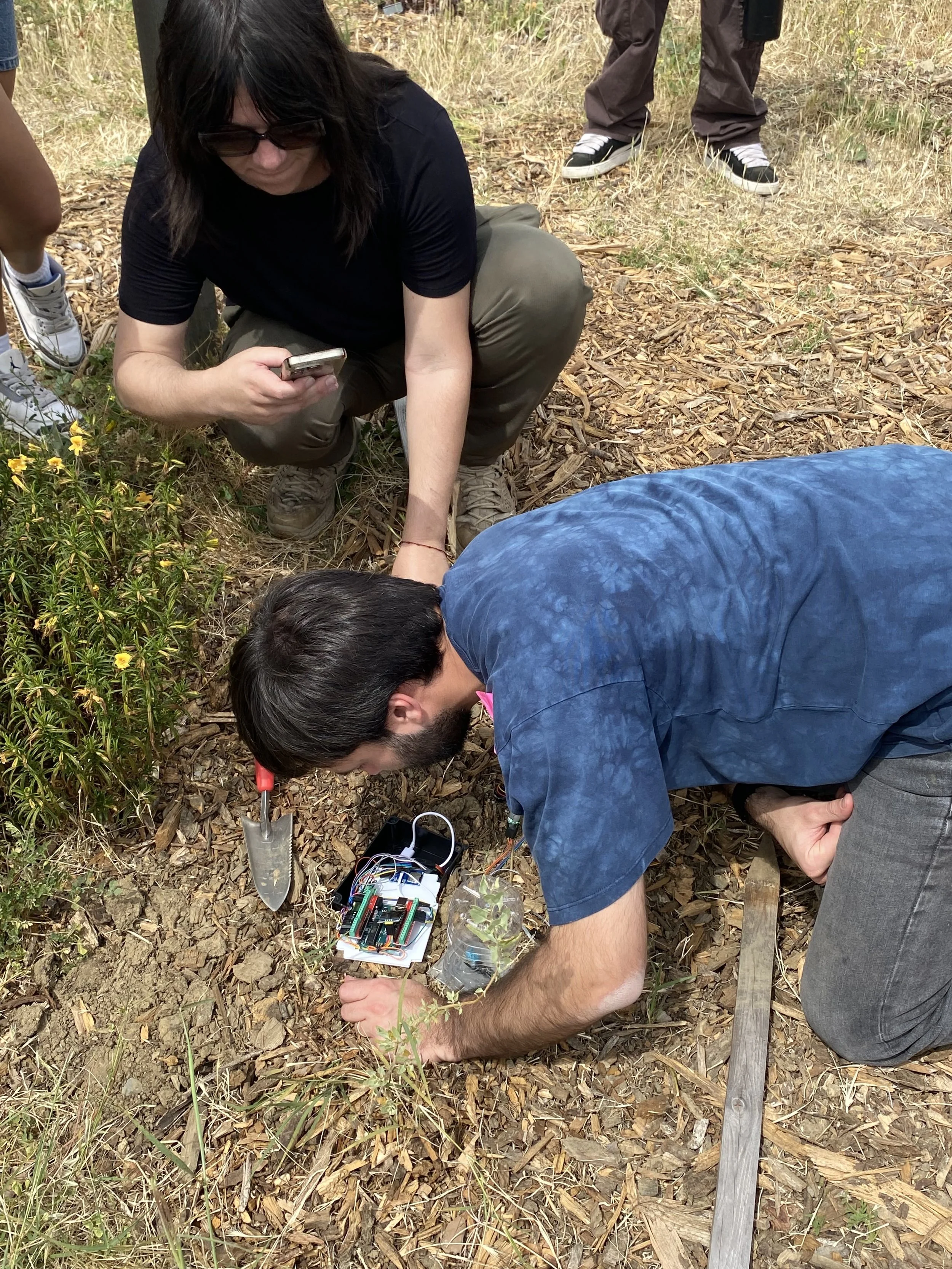 Guide to Environmental Sensing For Your Garden