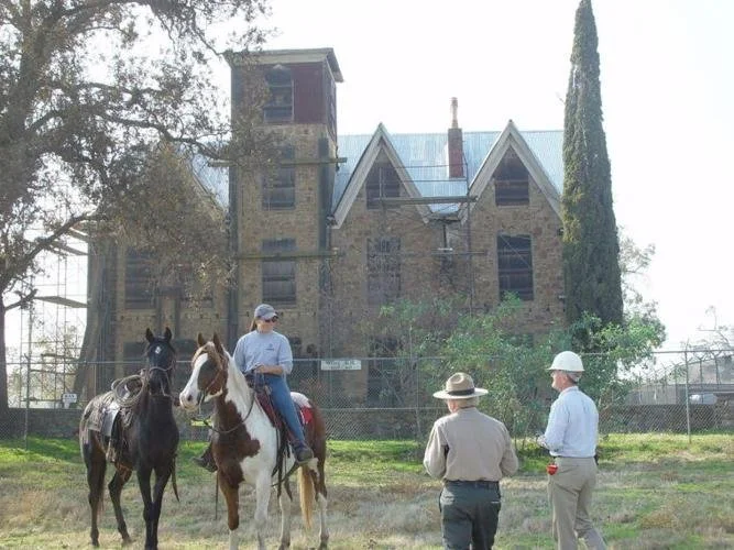 Marsh House with Horses.jpg
