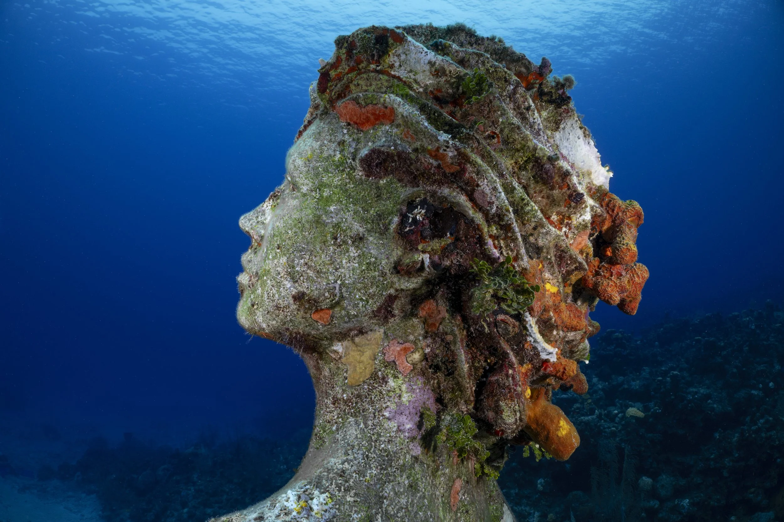 Amphiritie  copy.jpg