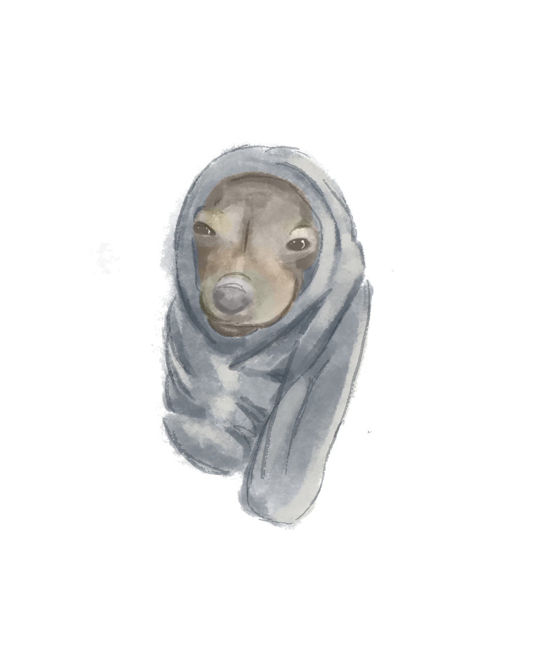 Conrad and blanket.png