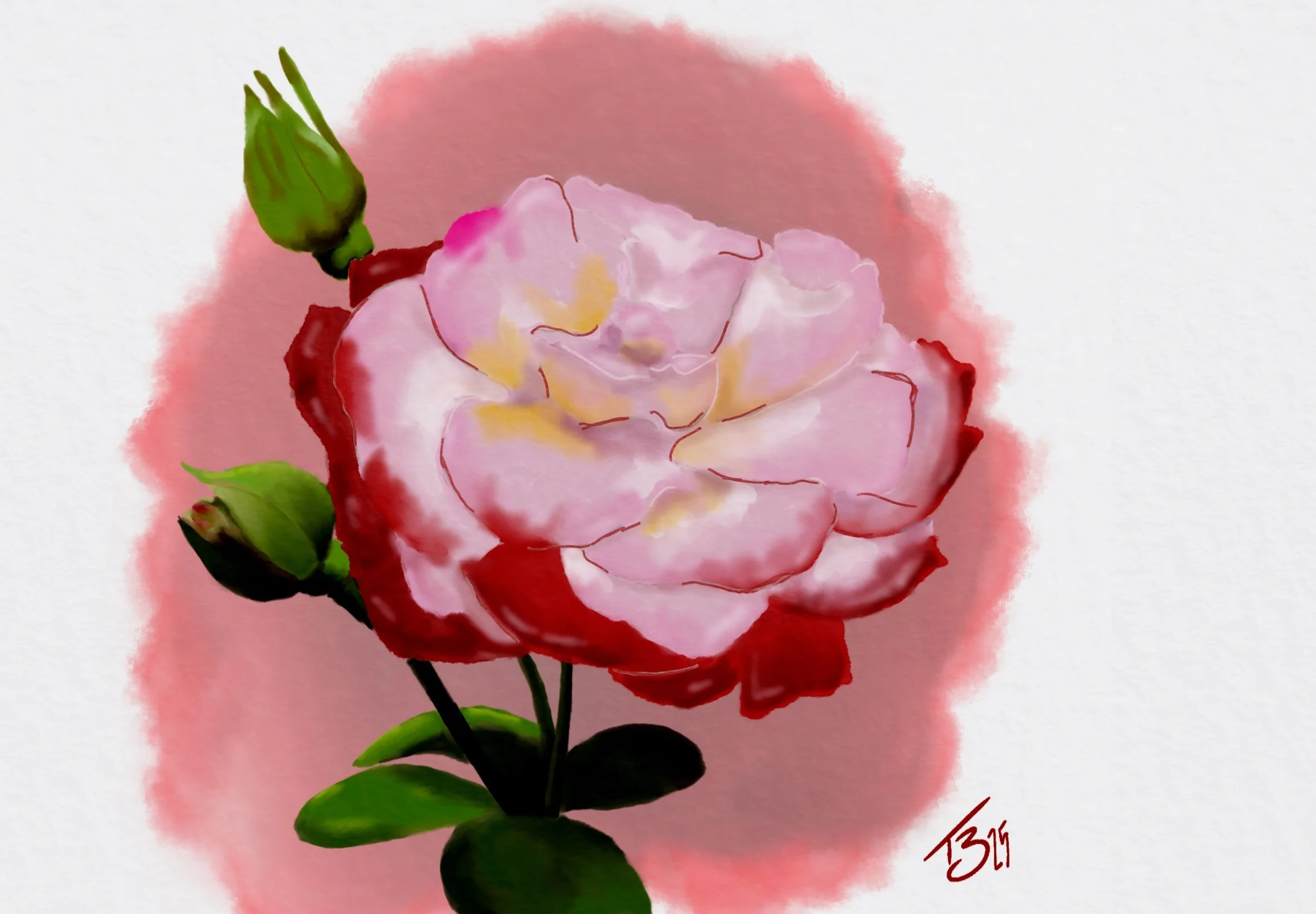 Rose.jpg