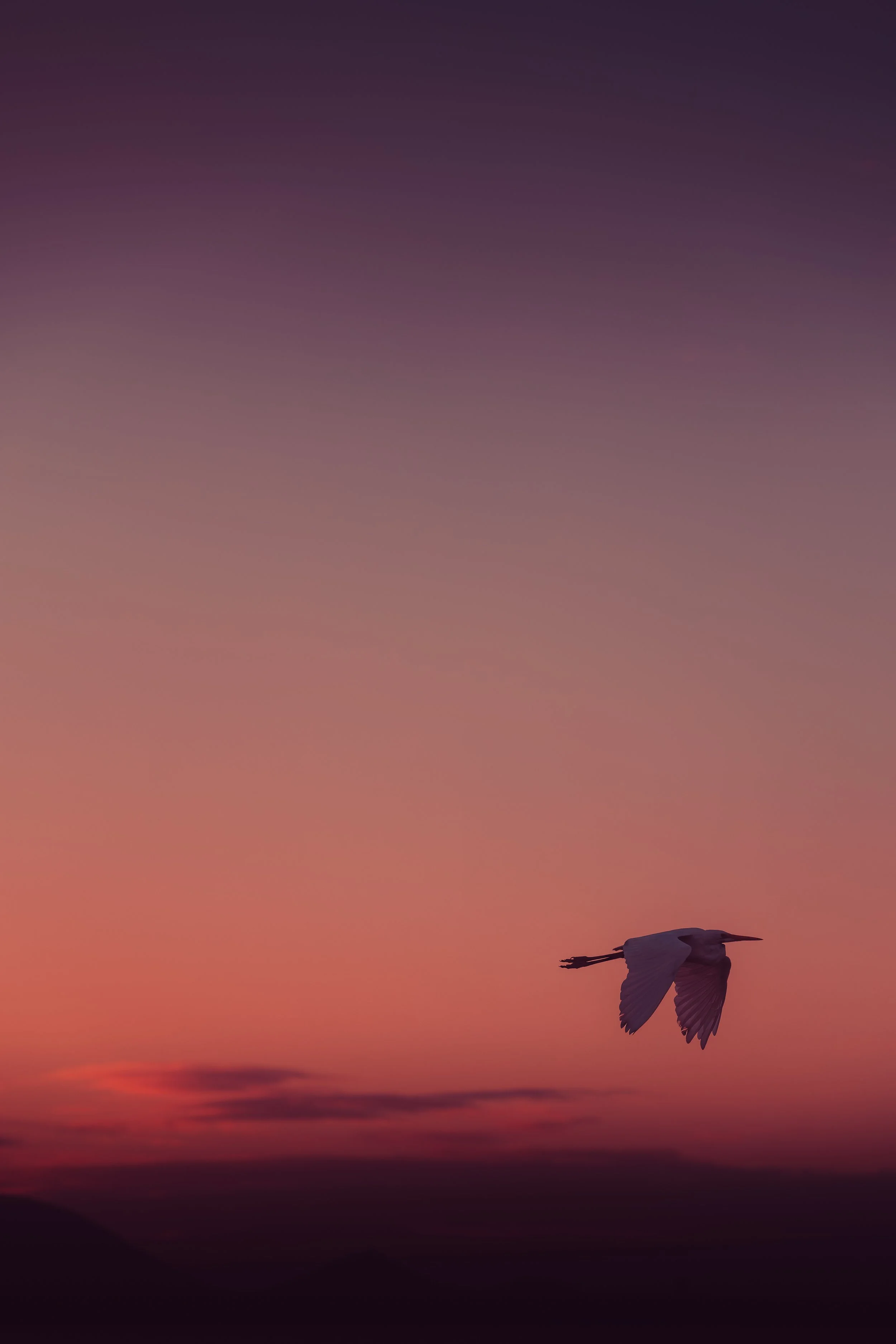 2U0A2167.jpg