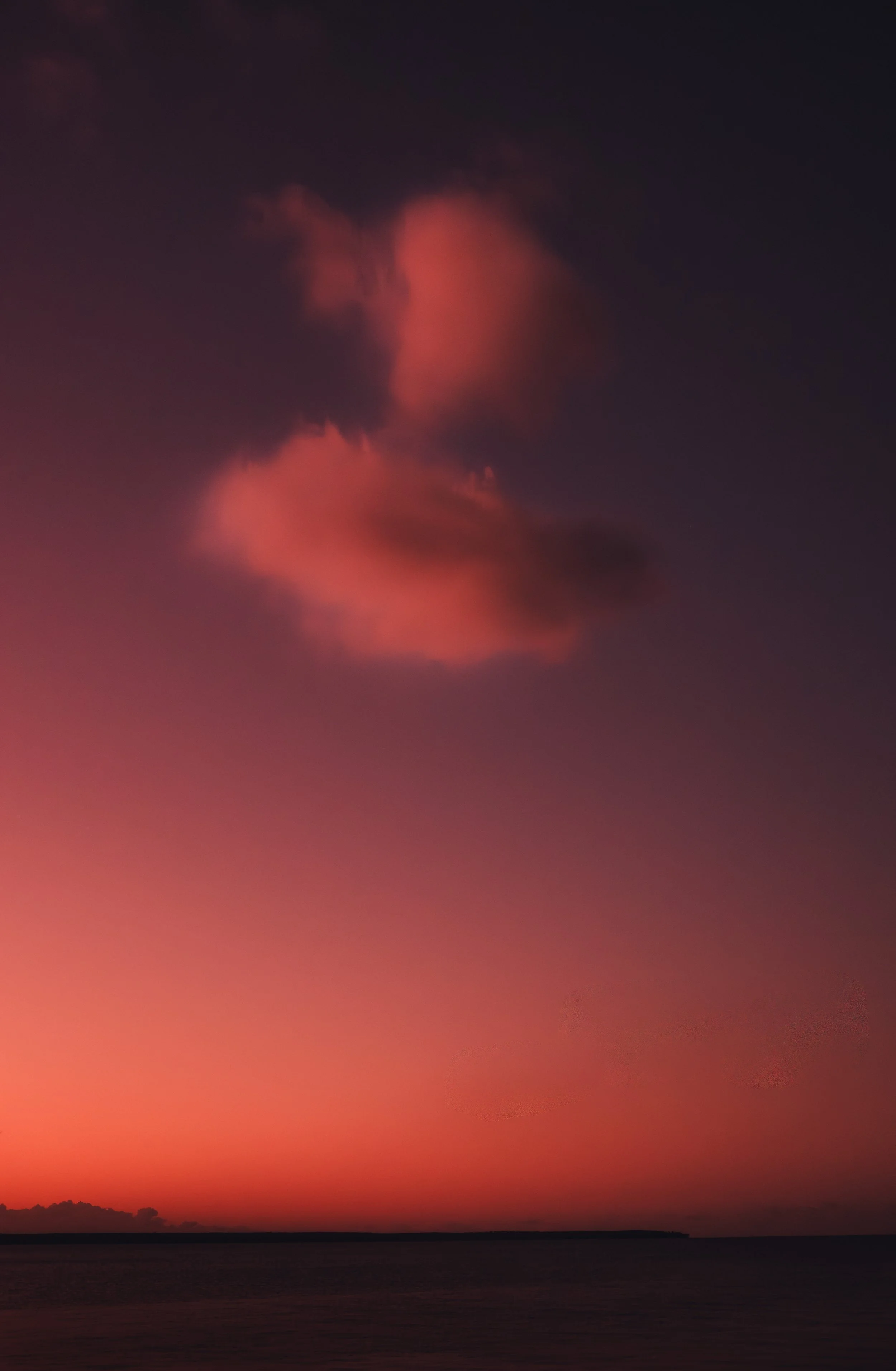 DSCF0269.jpg