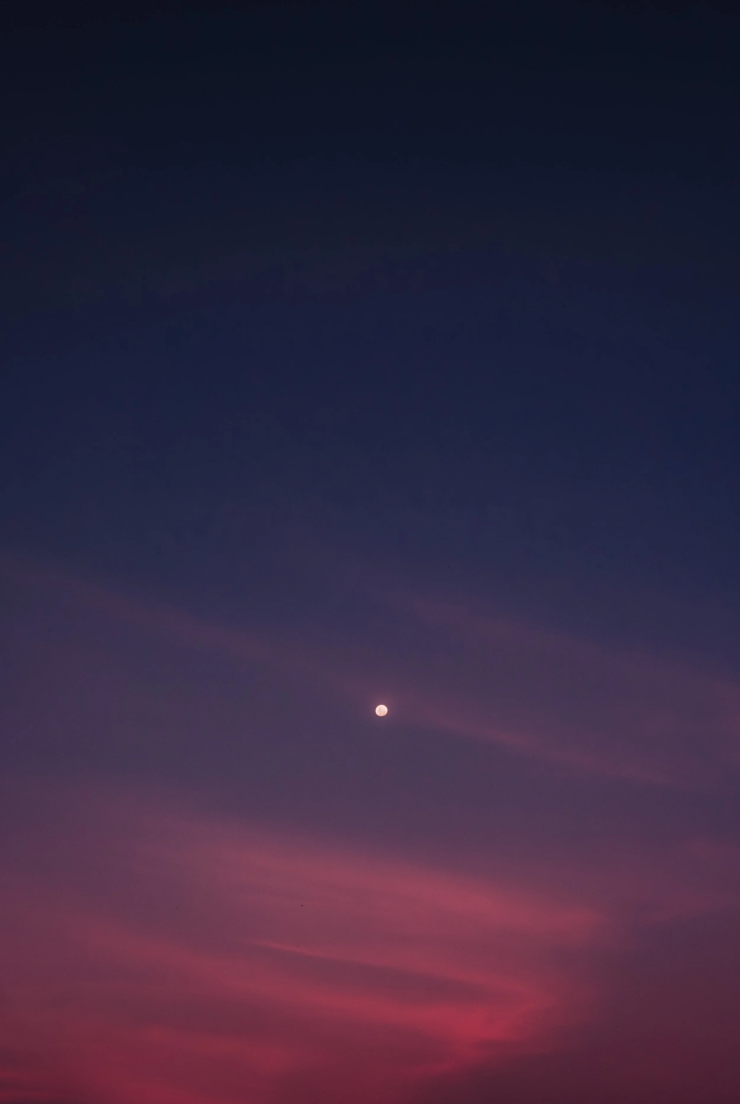 DSCF9927.jpg