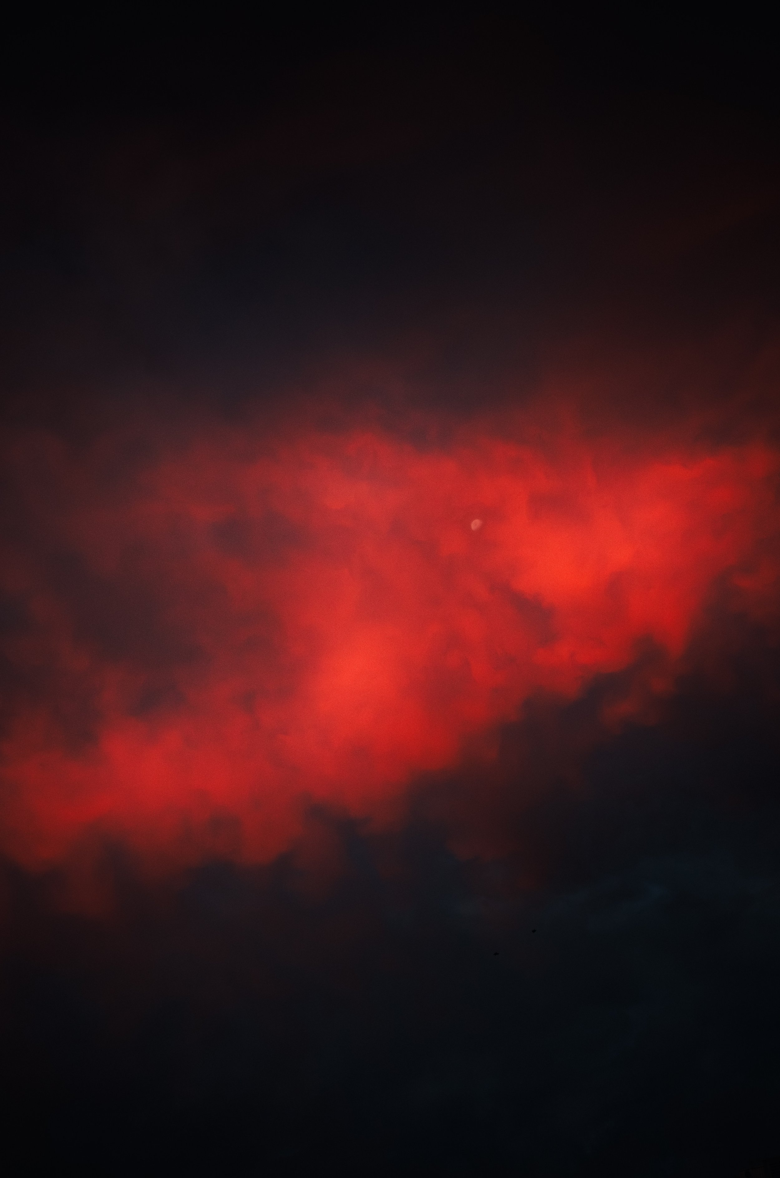 DSCF9626.jpg