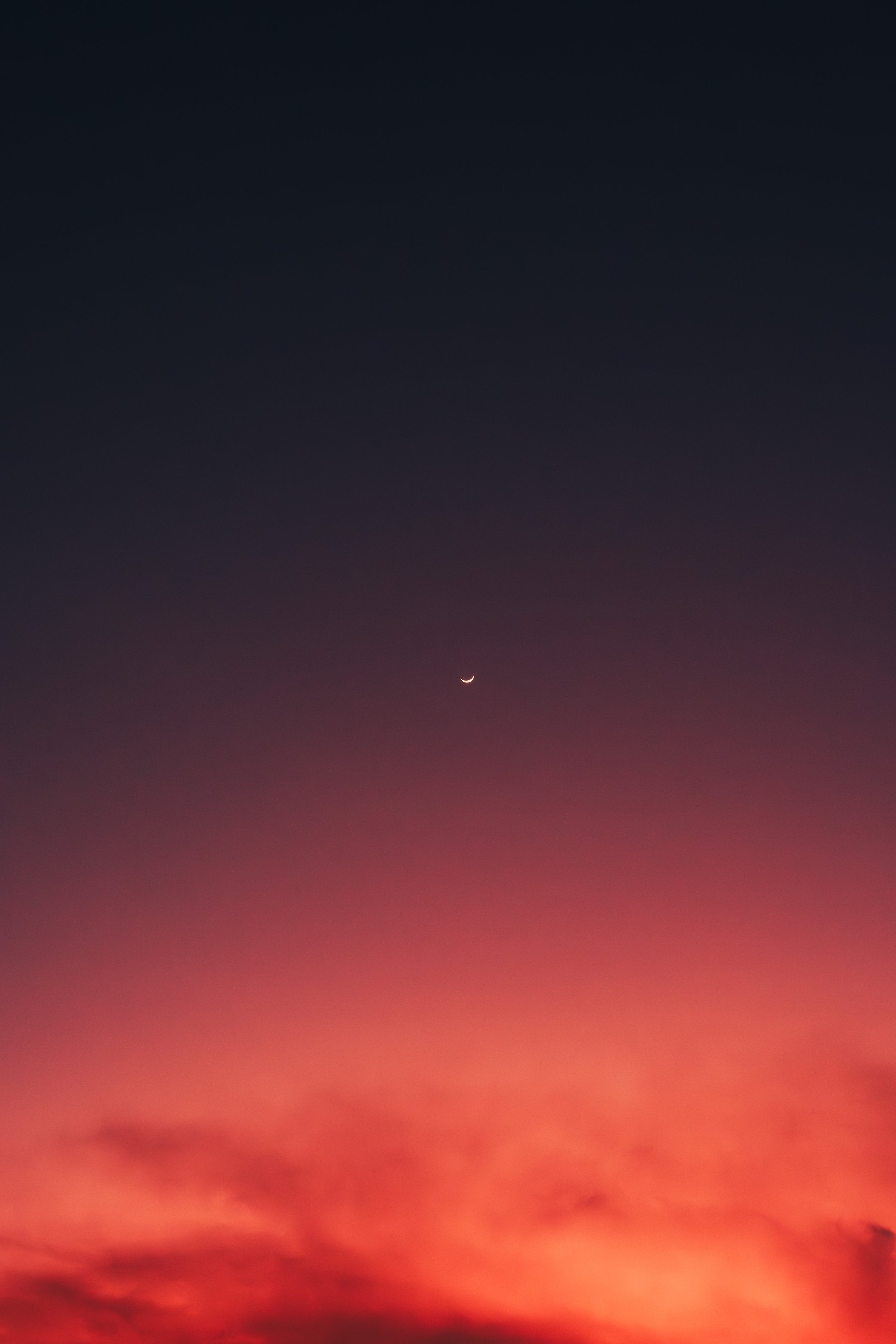 DSCF7468.jpg