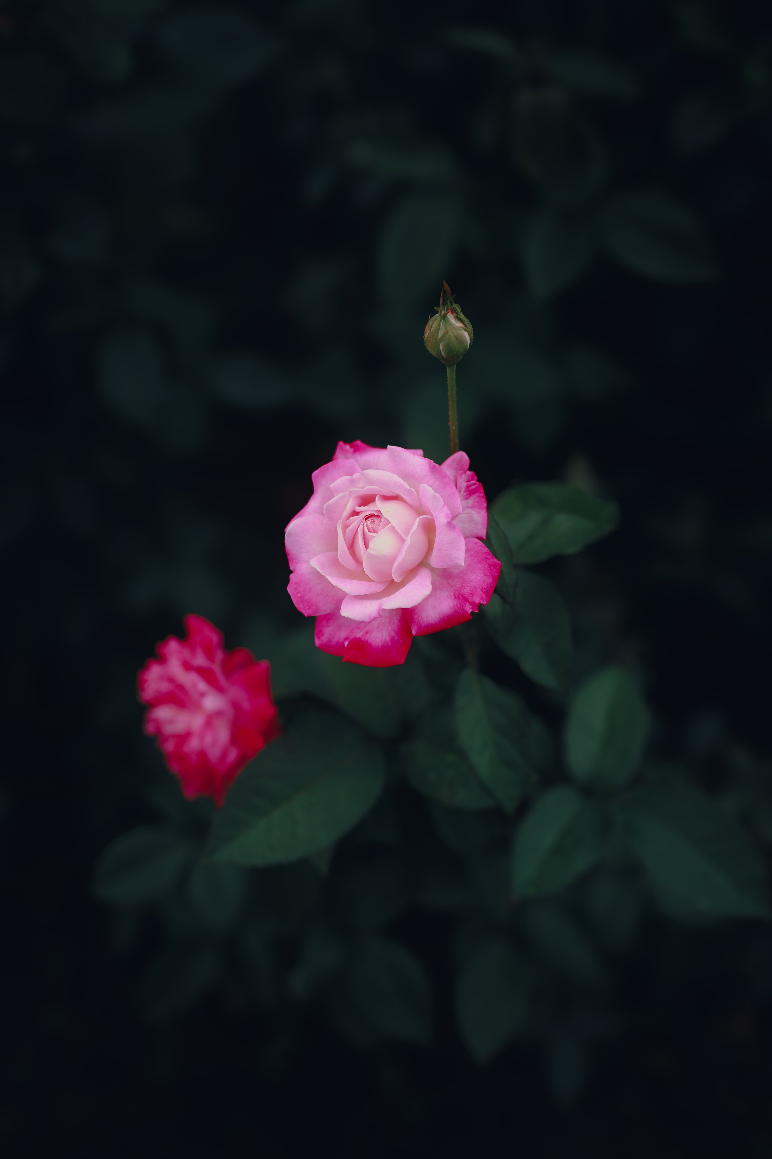 2U0A4362.jpg