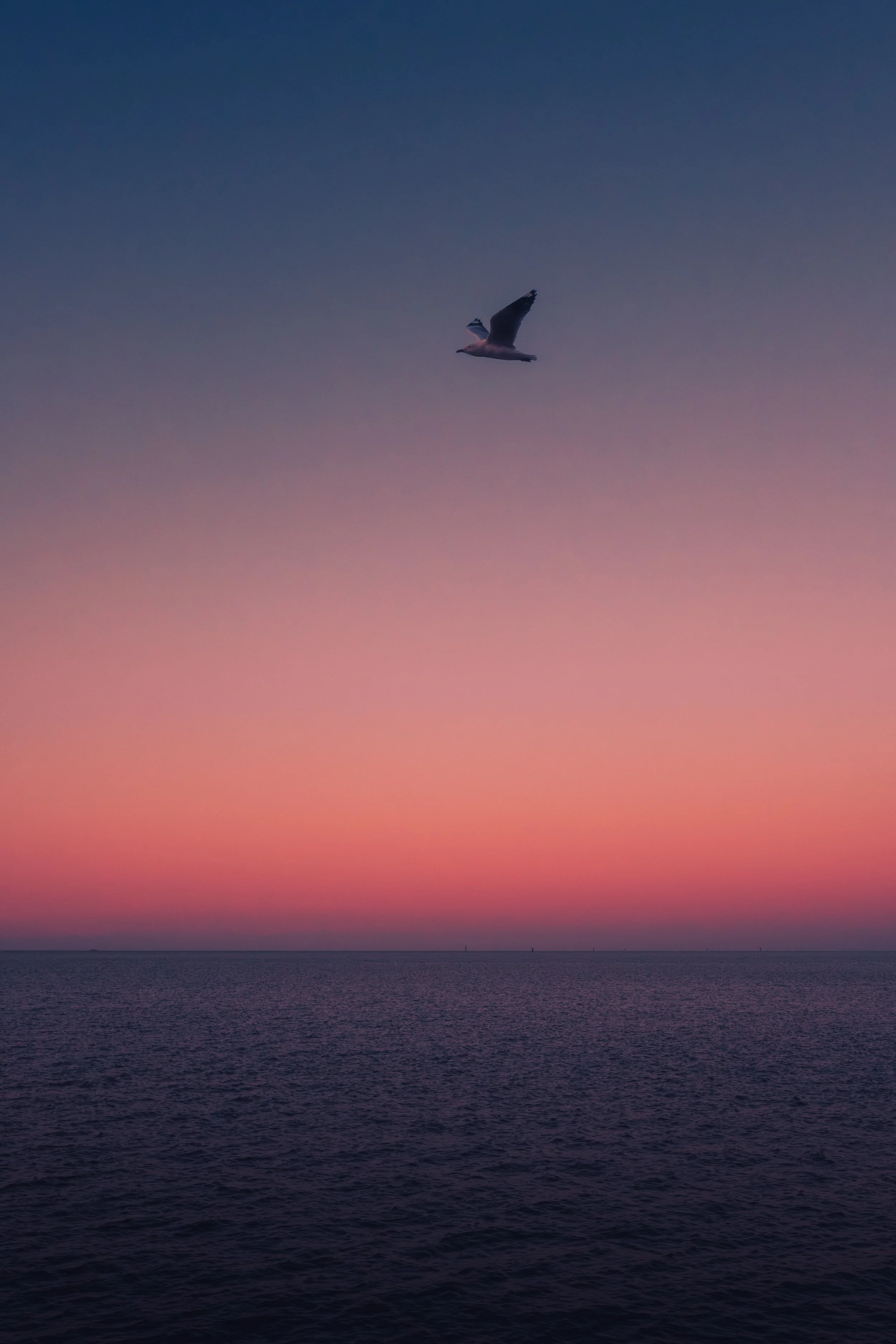 DSCF5865.jpg