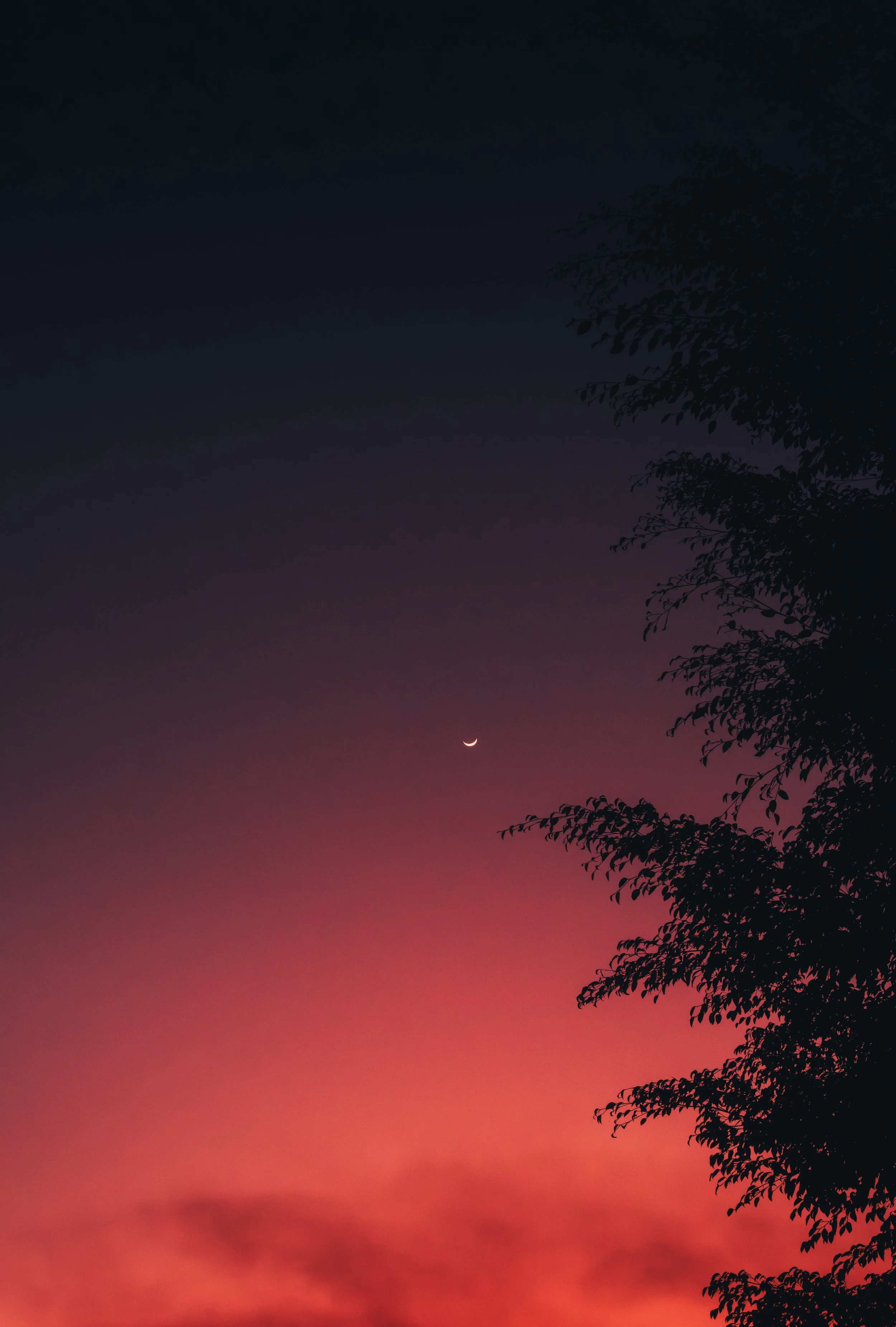 DSCF7456.jpg