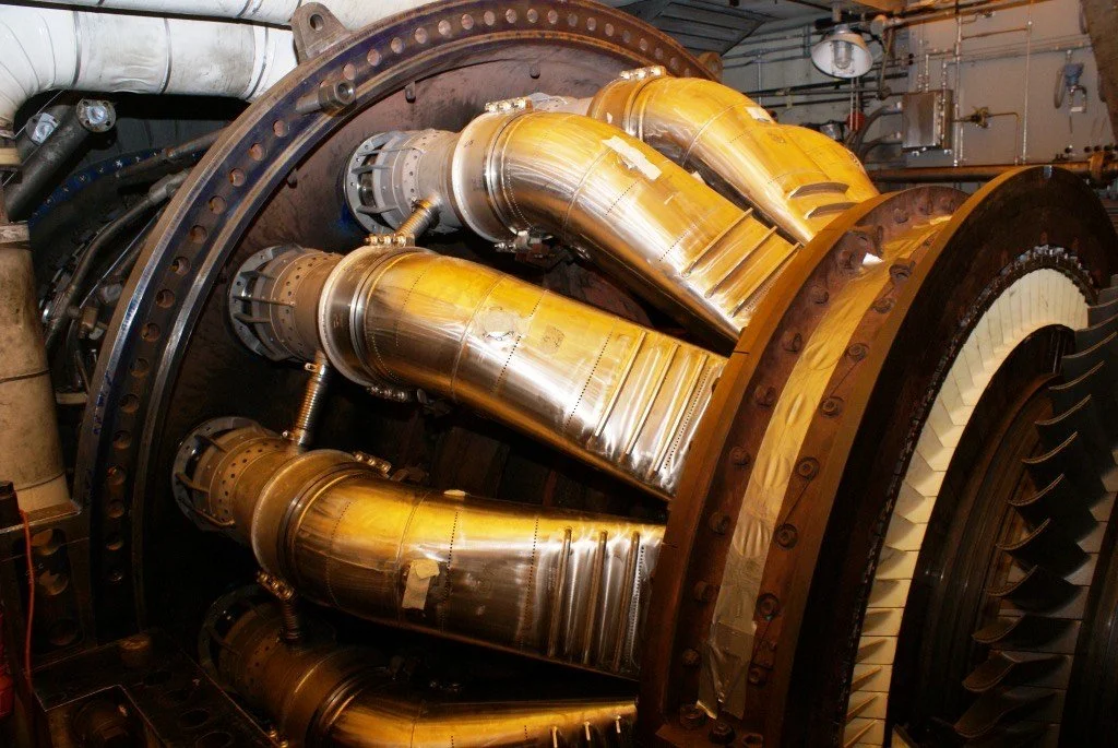 An image of Greenspacing.