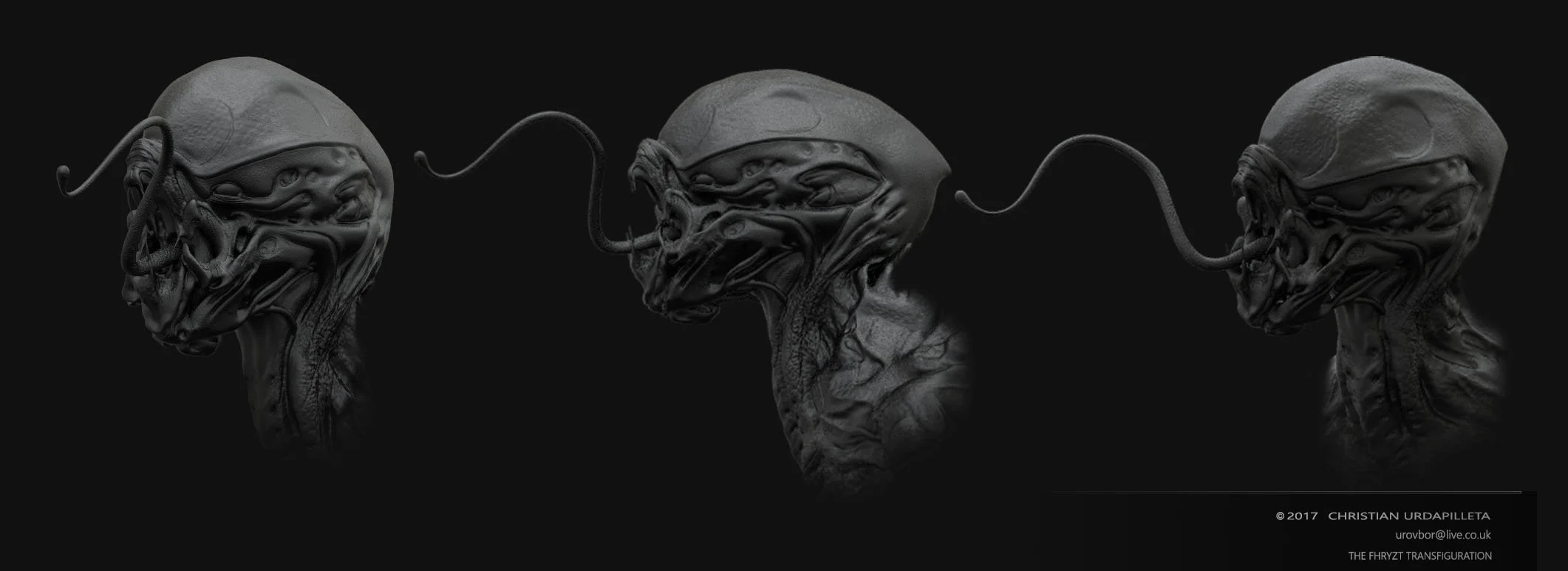 The Fhryzt_transfiguration_head.jpg