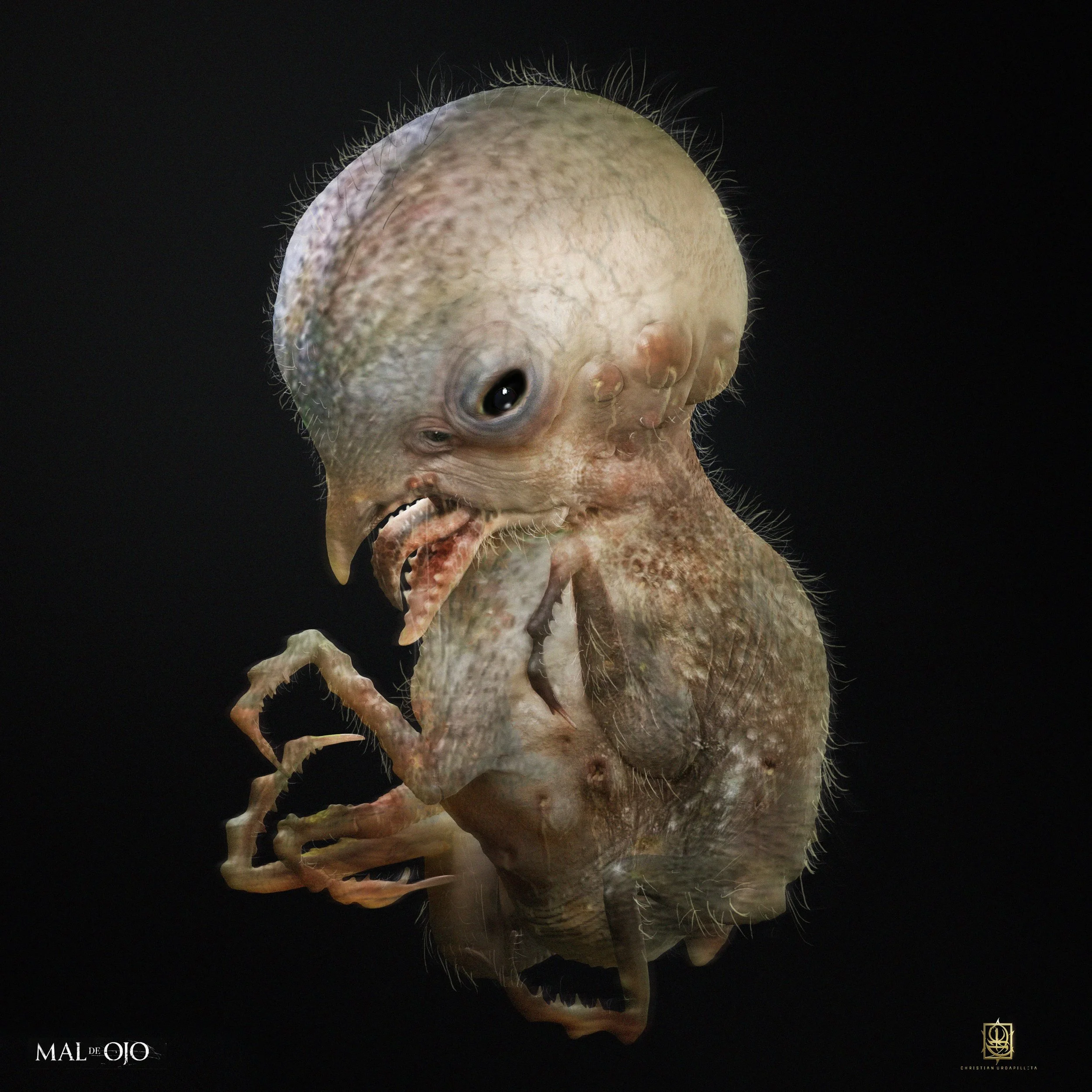 ’Mal De Ojo’’  Bacá_pollo_1_amarillo_maldeojo.jpg