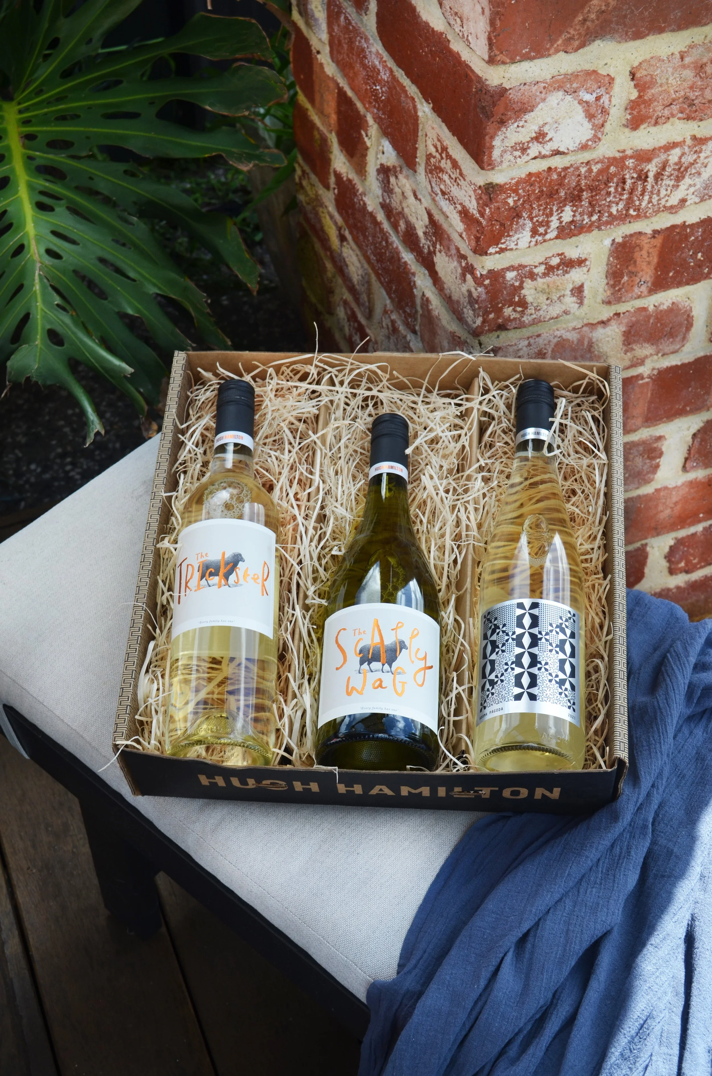 Three bottles of white wine in a gift box with shredded paper, labeled 'The Trickster,' 'The Saucy Wag,' and one with a geometric black-and-white pattern, outside next to a brick wall and a large green plant.