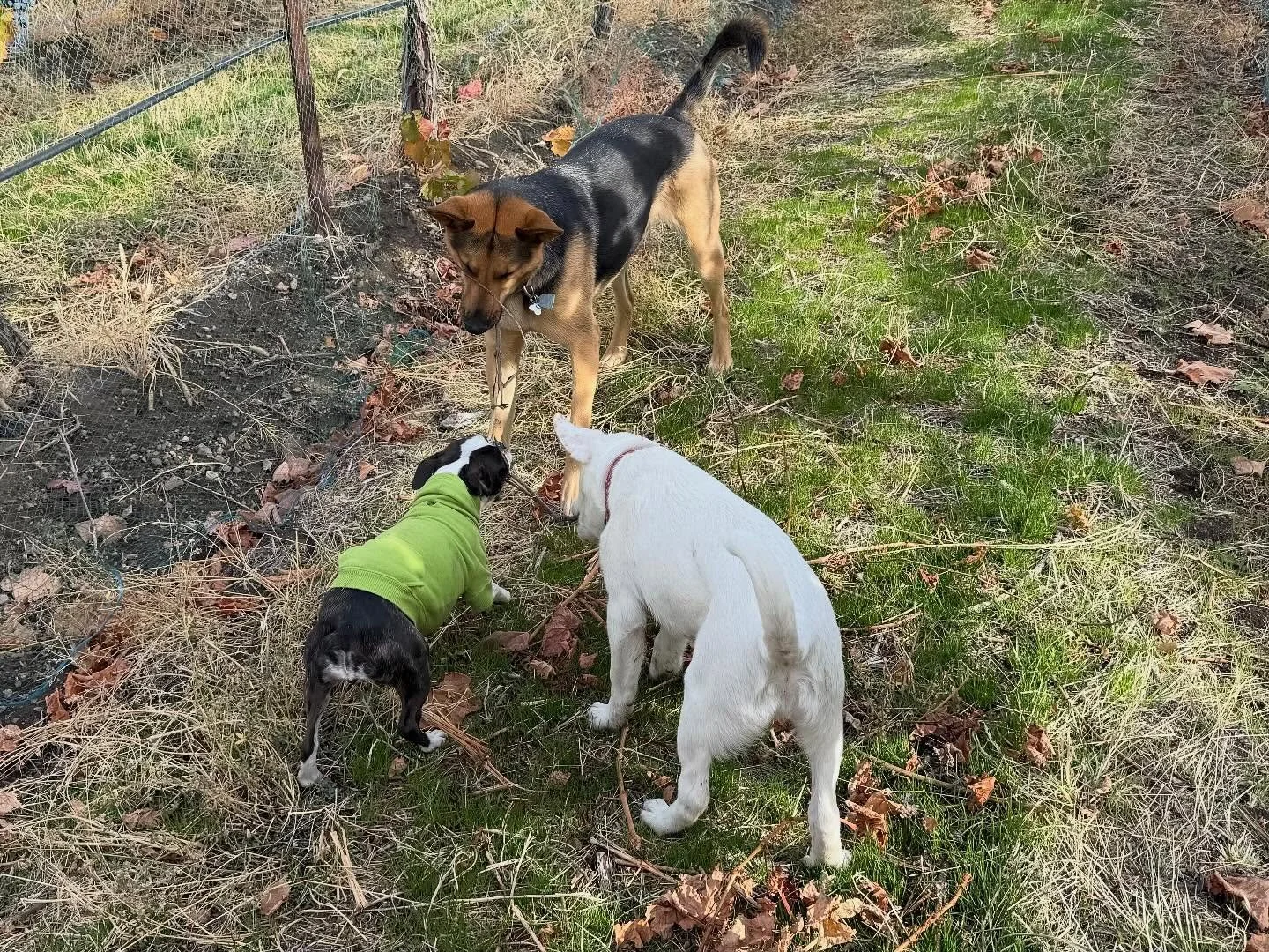 Very important safety meeting today.