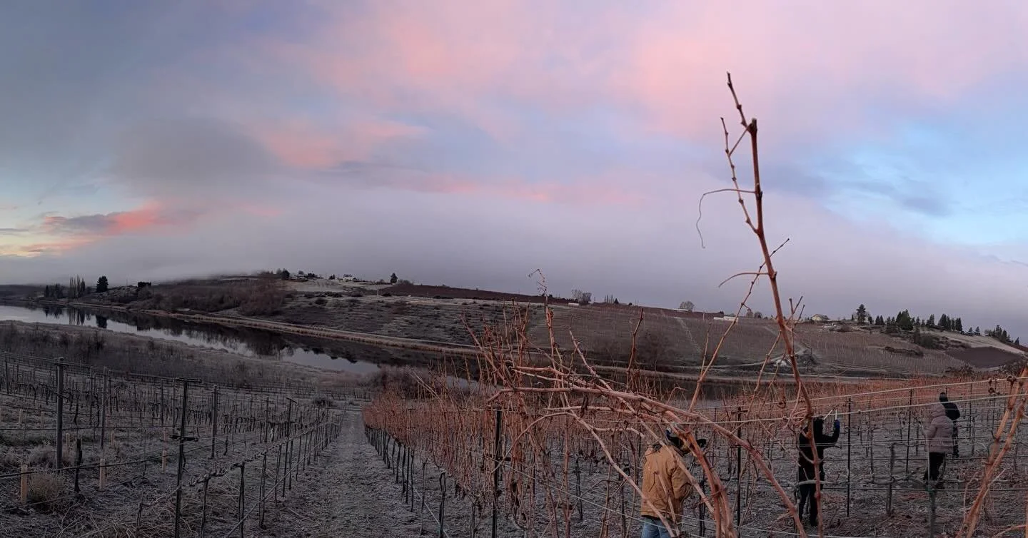 It was a gorgeous morning as the team and I brought balance to yet another Vineyard block!