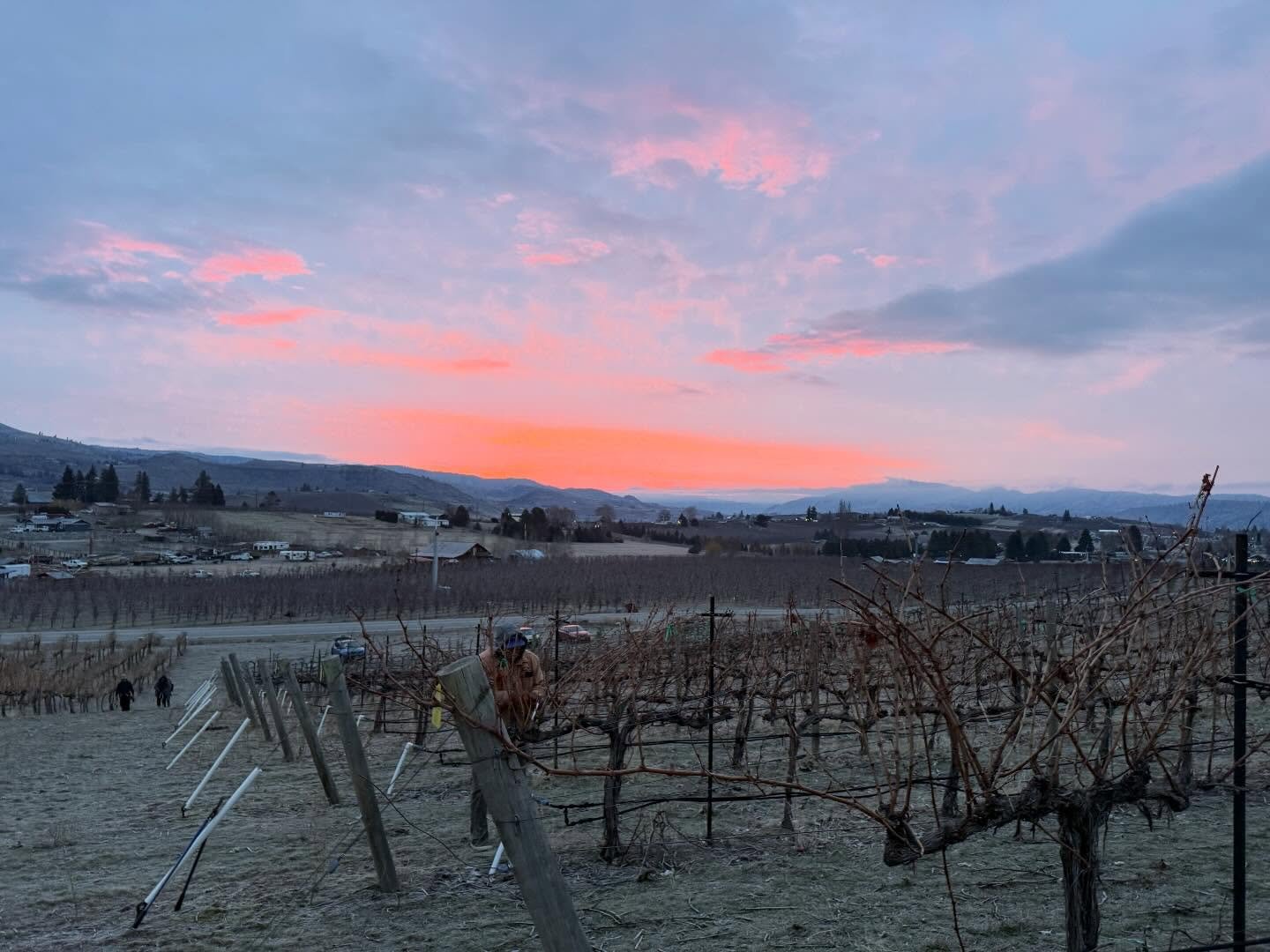 It was a cold but beautiful morning at Summit Vineyards! We picked some great fruit off this vineyard last season and they have most varieties available! Chardonnay, Tempranillo, Rousanne, Sauvignon Blanc, and Marsanne! If you&rsquo;re interested, le