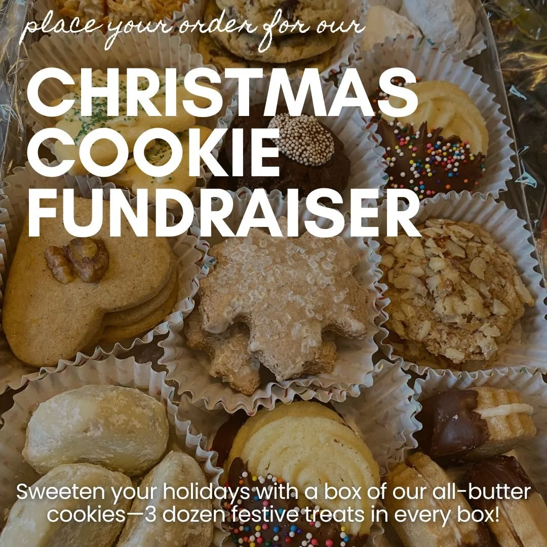 Christmas Cookie Boxes