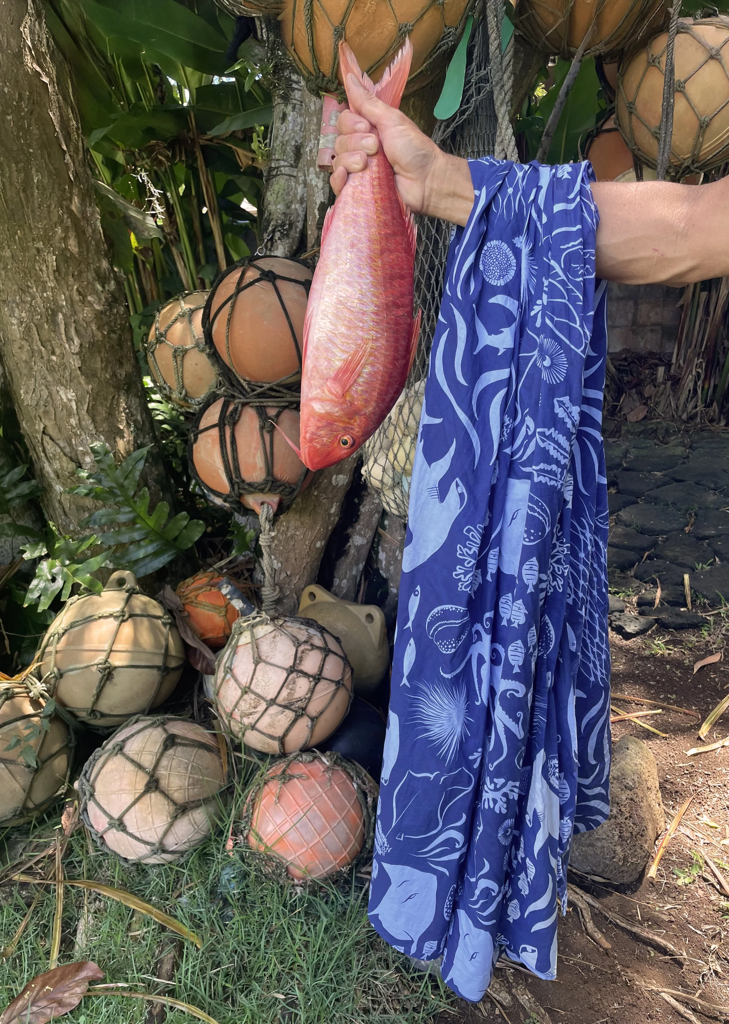 fresh catch moana sea life from Anahola coastline reef and ocean