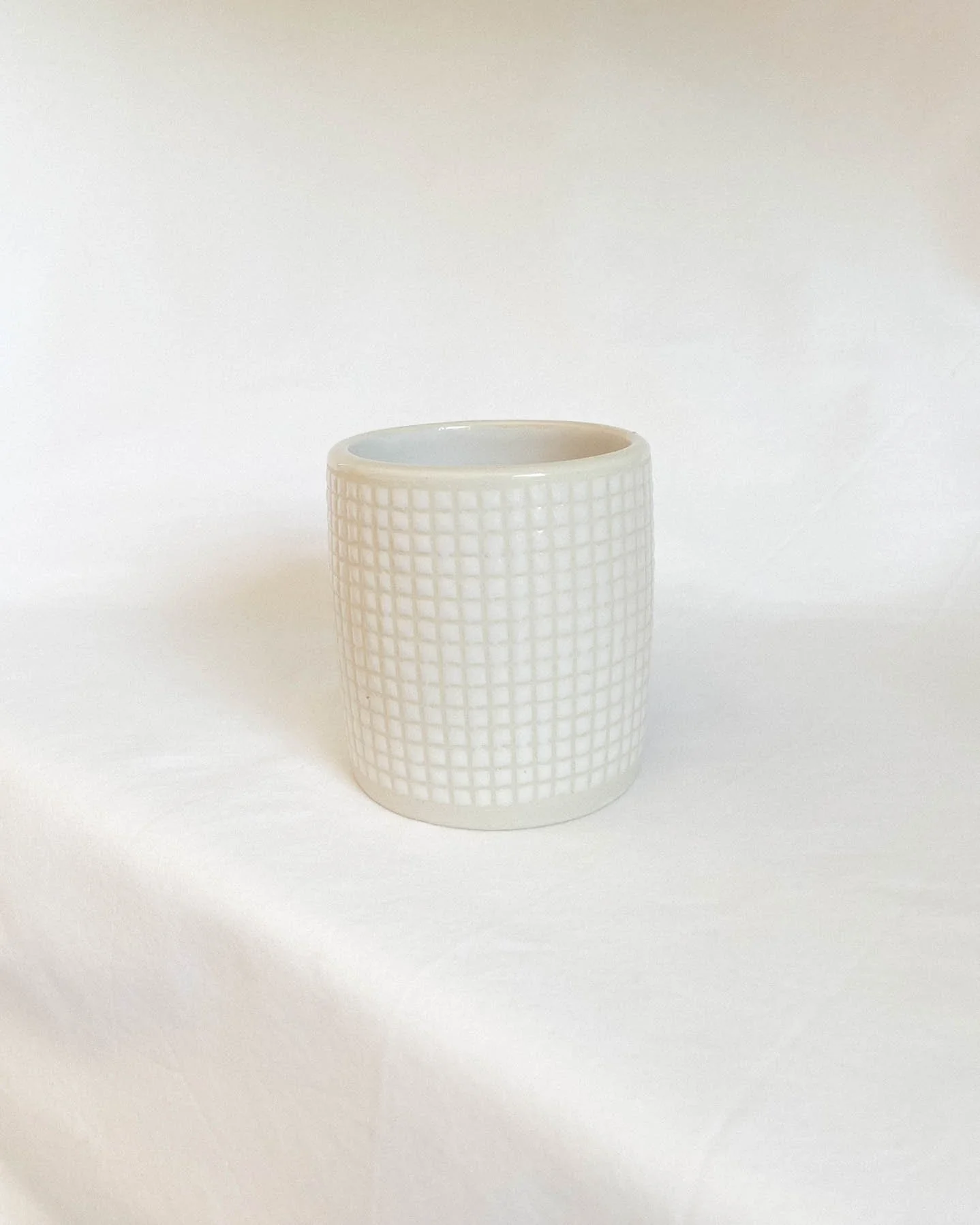 Subtle Pink Gingham Tumbler