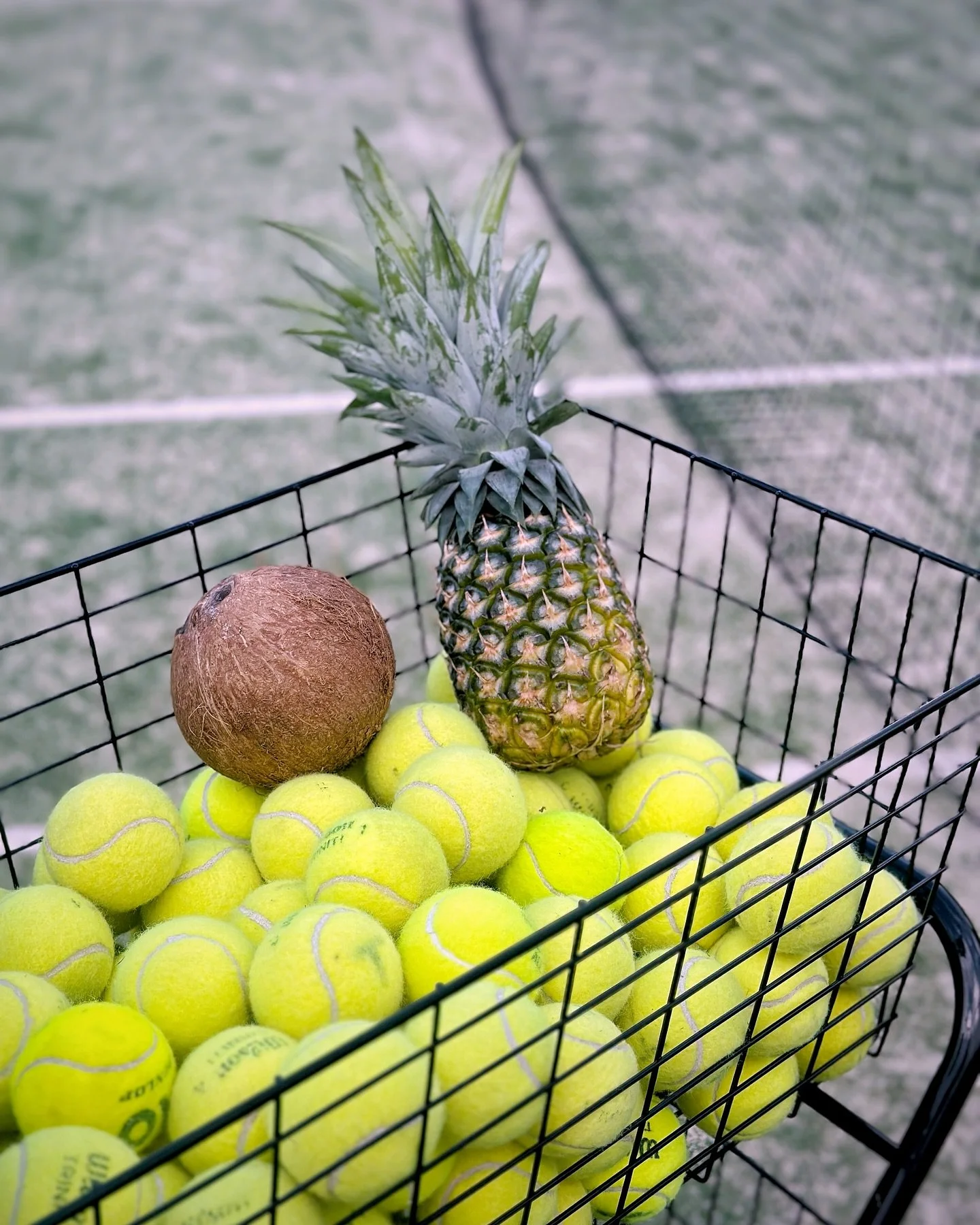 Thanks to everyone who came down to our tropical themed community day before the cyclone saga rolled into town!! 

We had a great afternoon, filled with tennis, tropical inspired games, drinks and snacks!! 

Thanks to everyone who helped make the day
